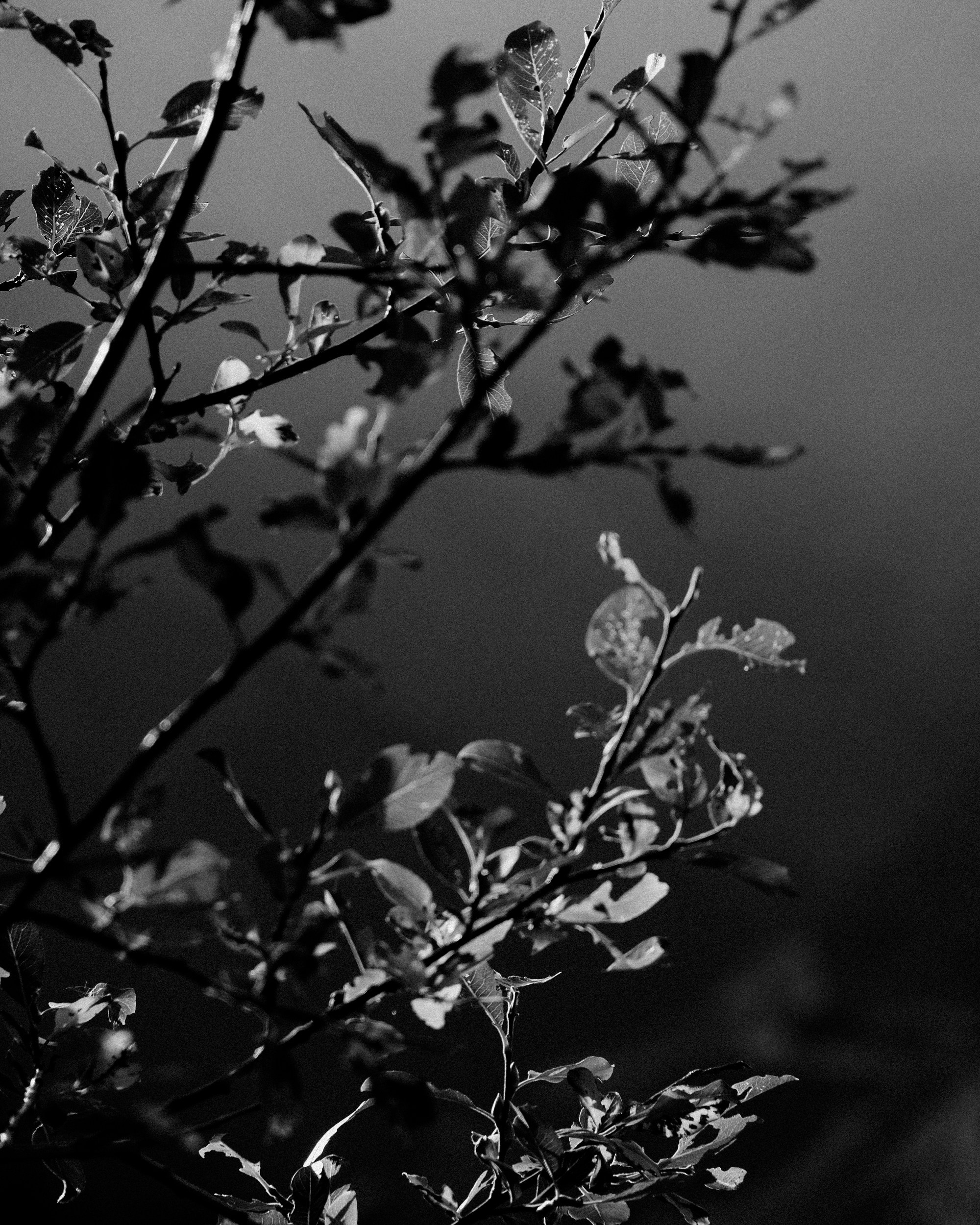 Кыргызстан. Фотограф Дмитрий Олрайт | Калуга, Россия