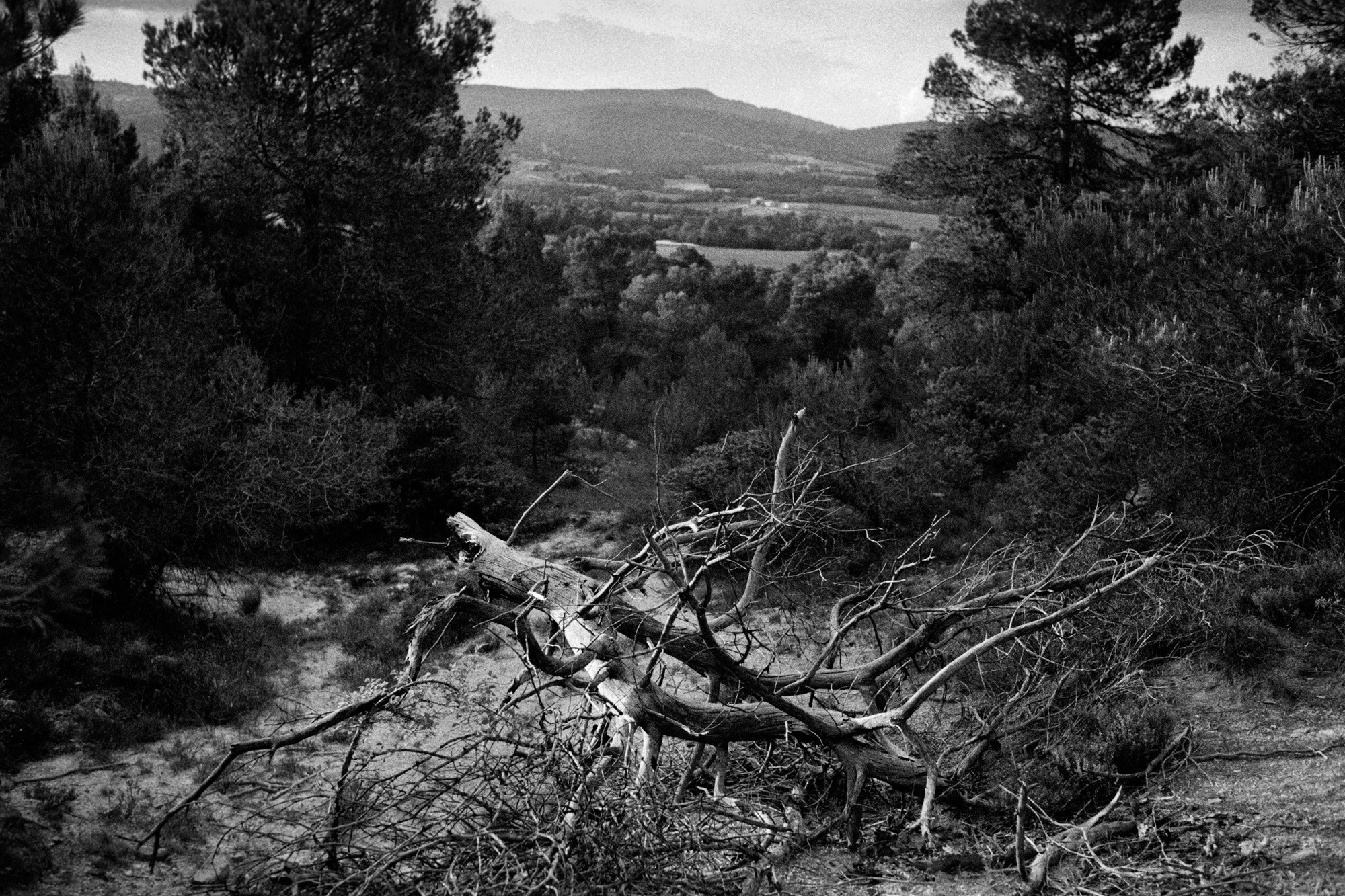 Memories of France. Документальный фотограф Алексей Мякишев, Москва