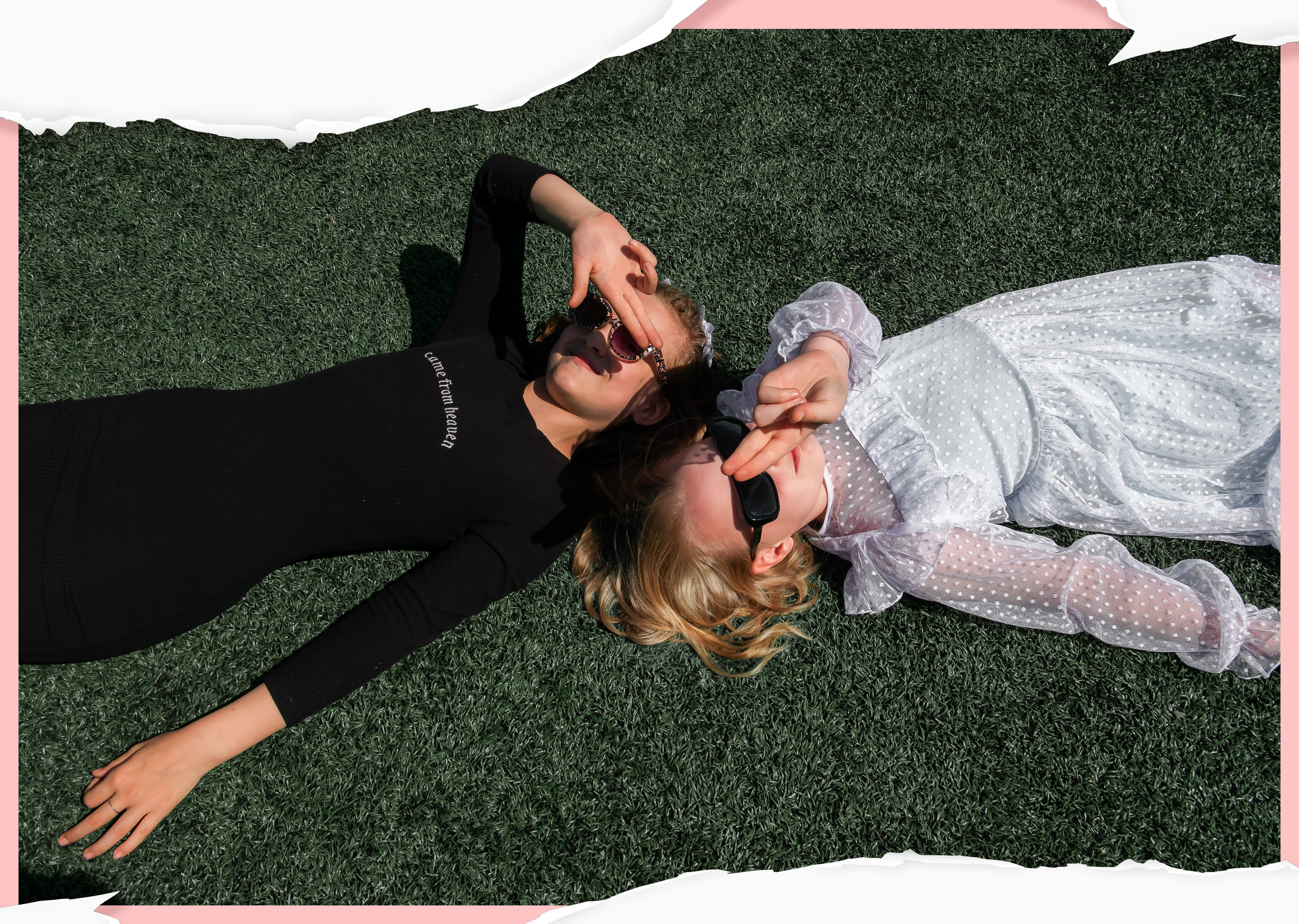 «Розовая и синяя бумага 2025». ALBUMIA