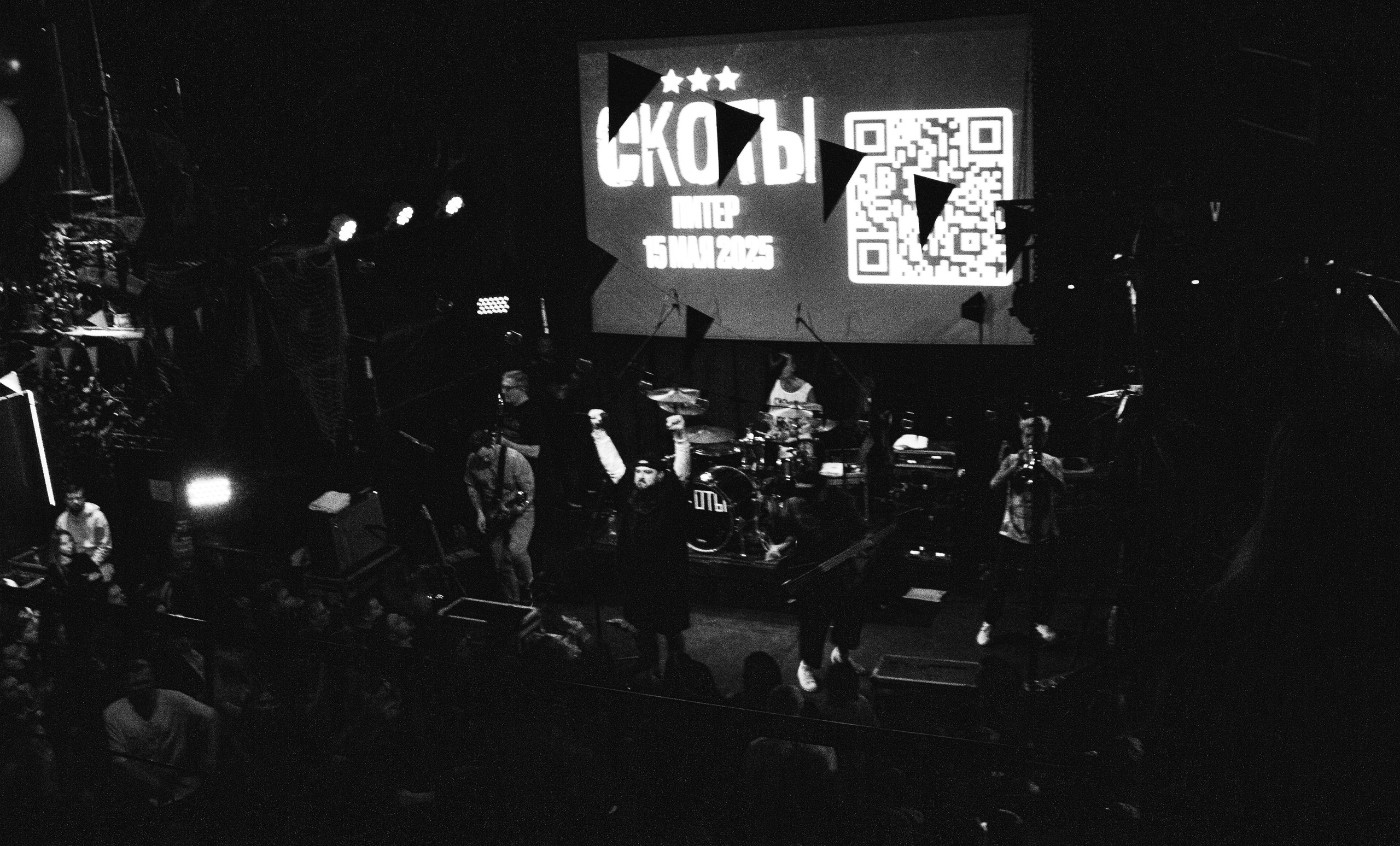 СКОТЫ | 11.12.2024 | ЛАСТОЧКА. VLADIS PISKUNOV | Концертные Фото |Репортажи