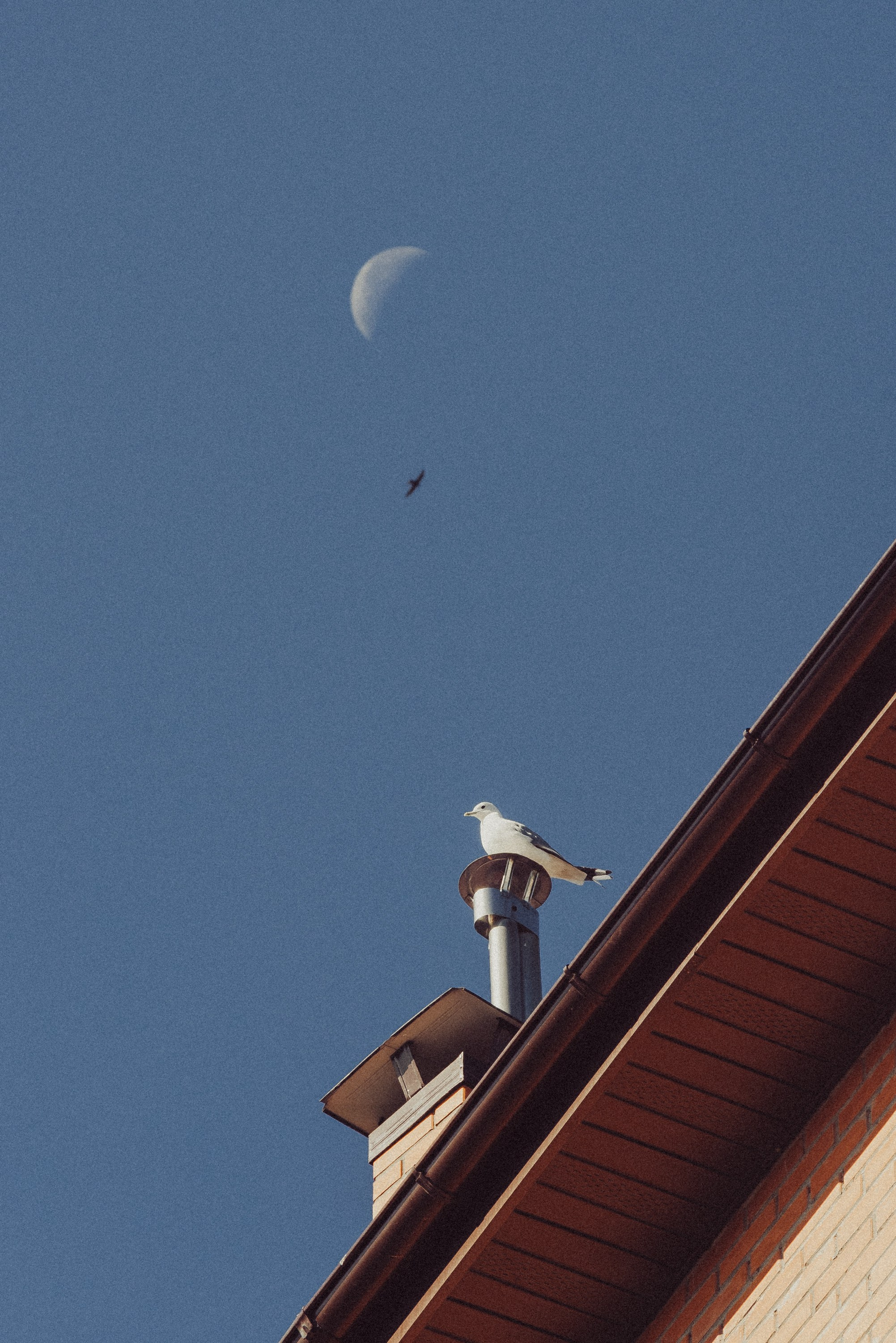 Проект #улицыгорода. Ярославль, улица Большая Фёдоровская. Документальный фотограф Илья Тихановский