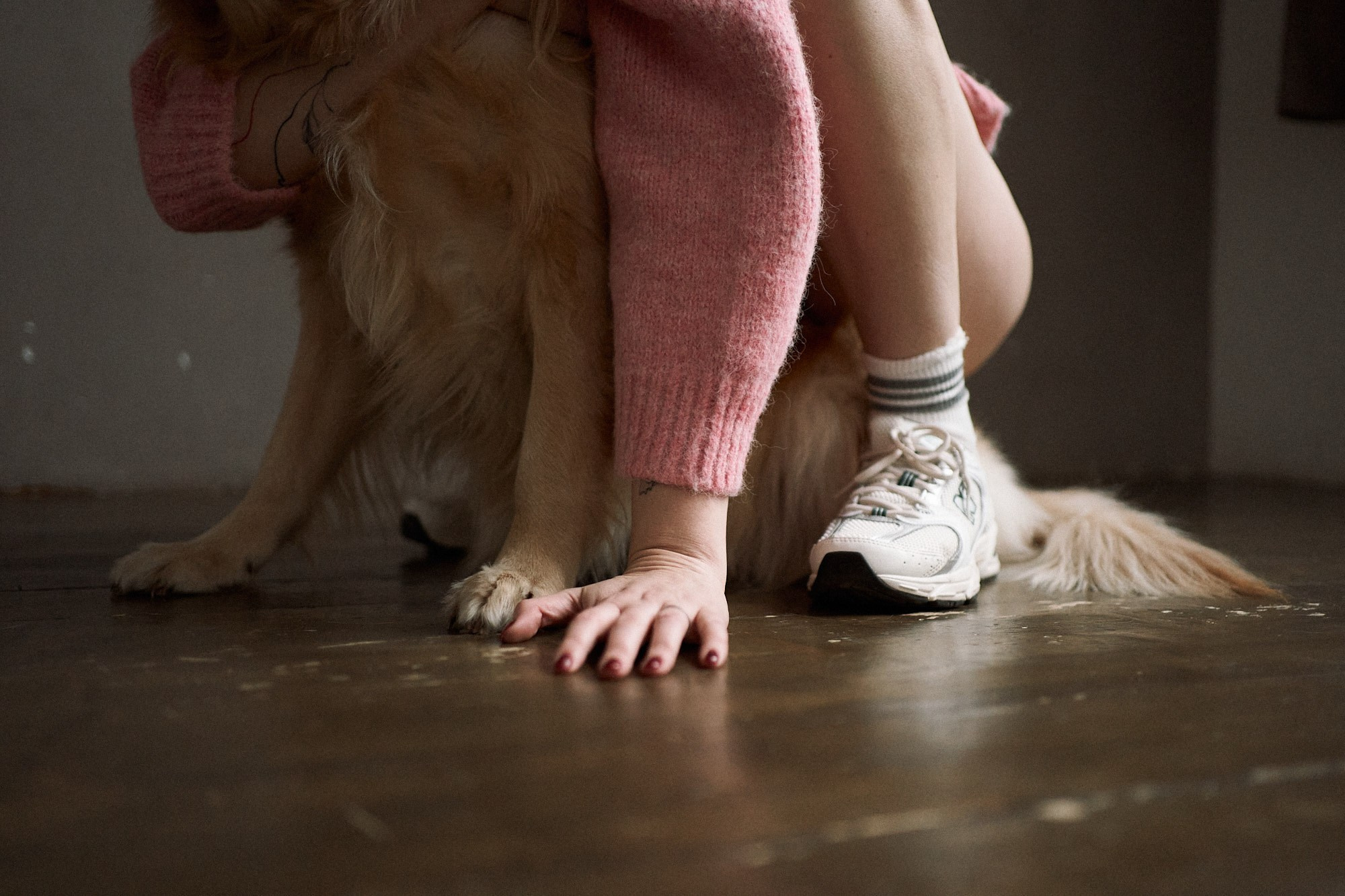 Алия и Пенни. Фотограф анималист Москва Дарья