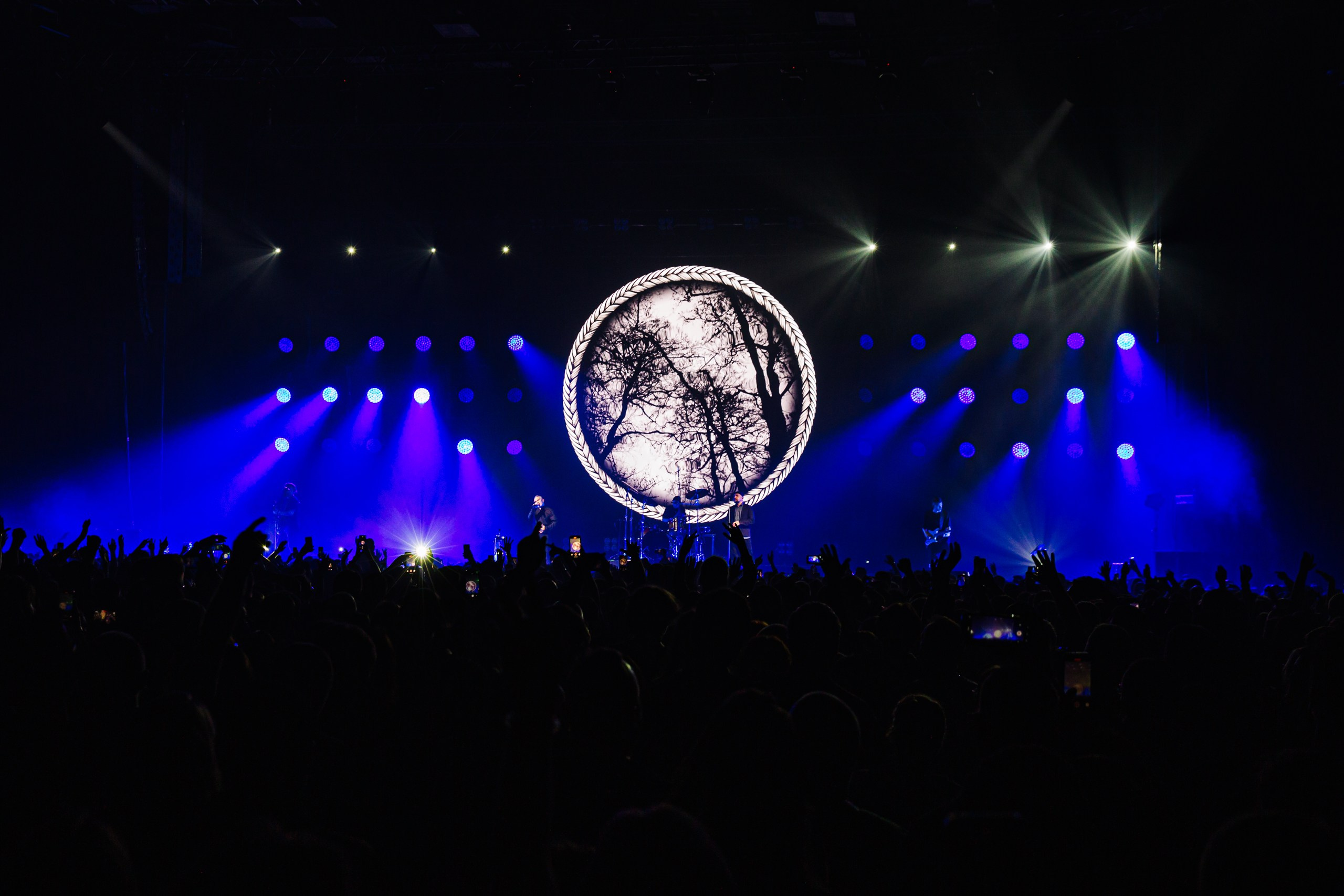 25/17 / САНКТ-ПЕТЕРБУРГ / 2024. OOPS