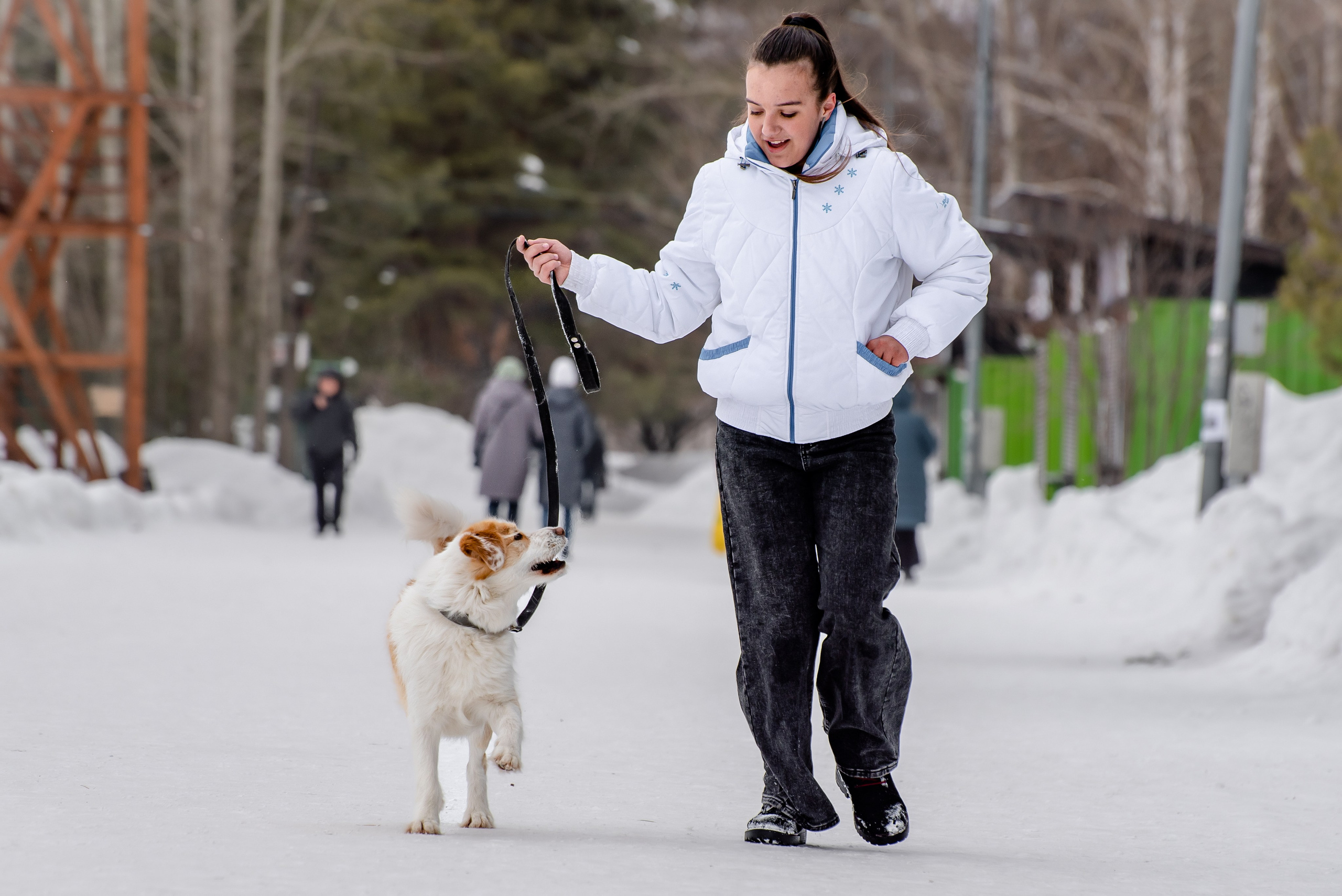 Прогулочная фотосессия с собакой. Фотограф Макс Огурцов в Нижнем Новгороде