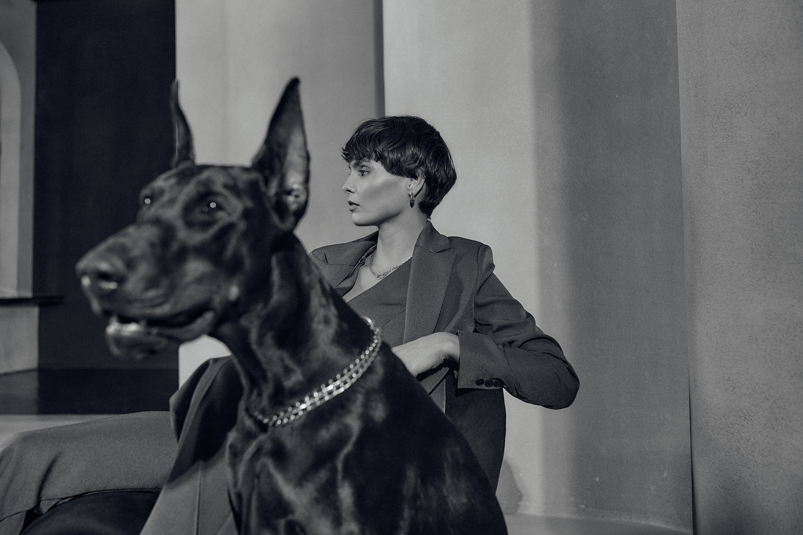 Mist доберман. Photorina — фотограф Ирина Гулемина