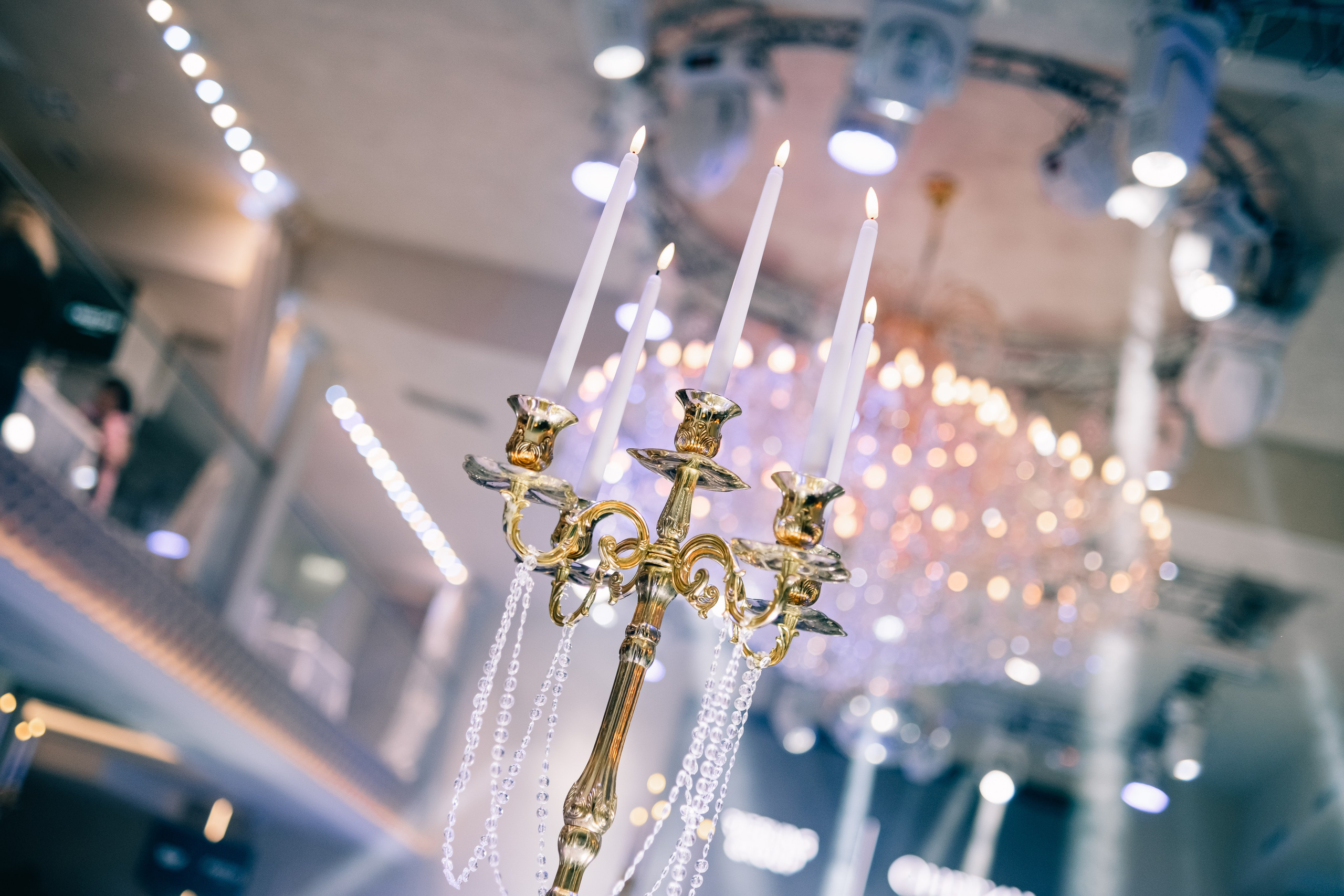 Конгресс ISSAM 2024 г. Красноярск. Фотограф Валерия Кононова