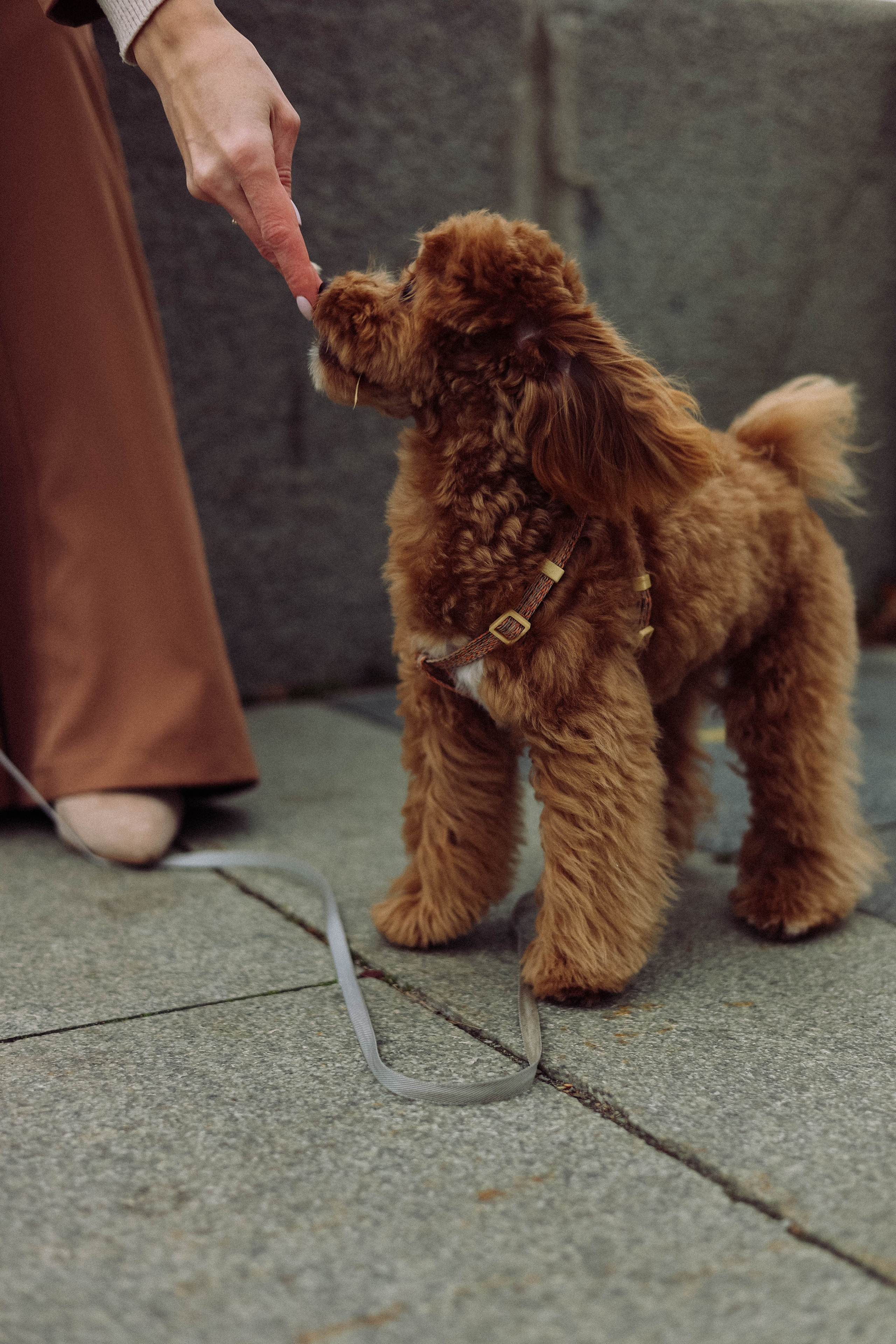 Кира. Фотограф в Москве Анастасия Калинина