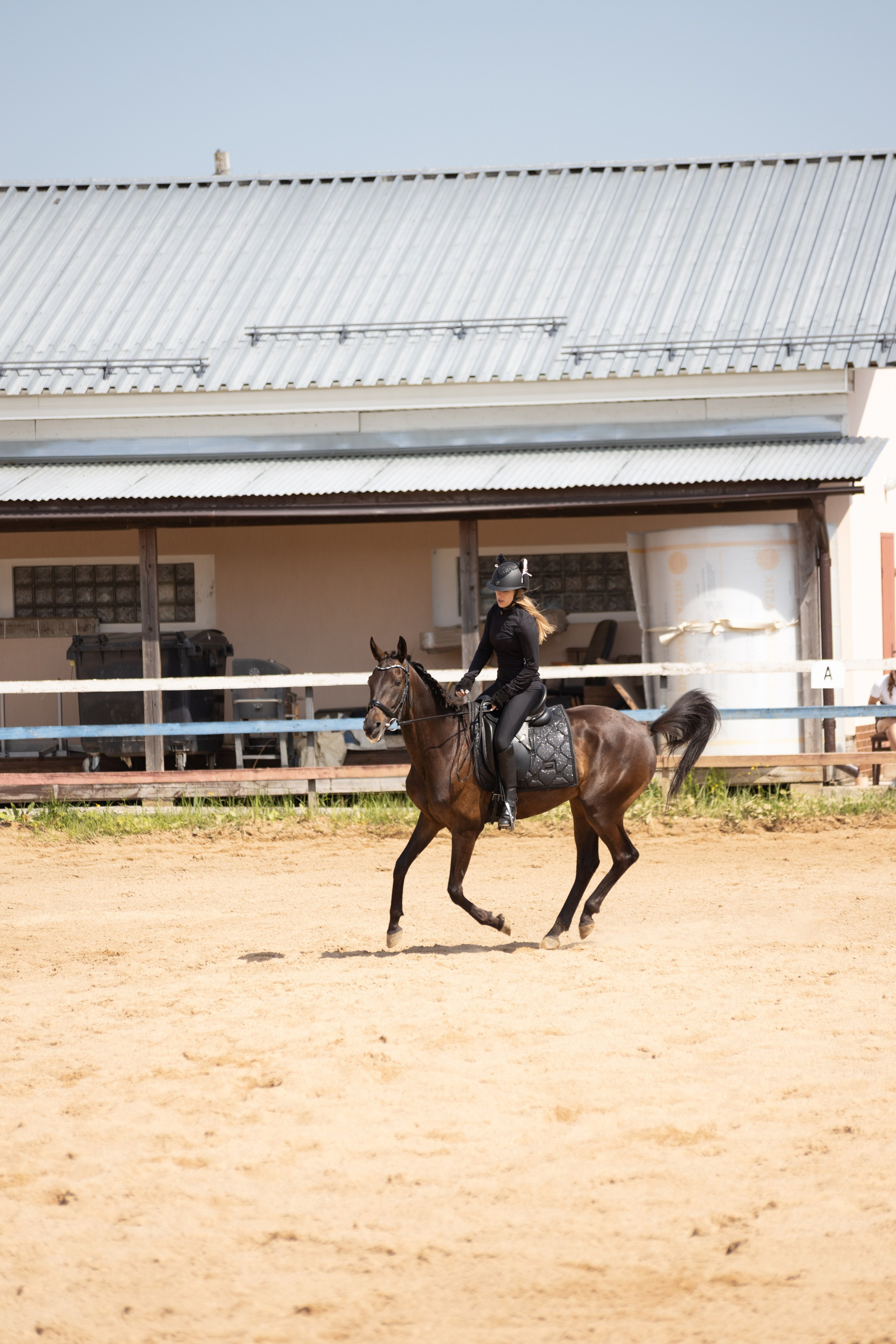 Конюшня. Фотограф в Москве и Истре