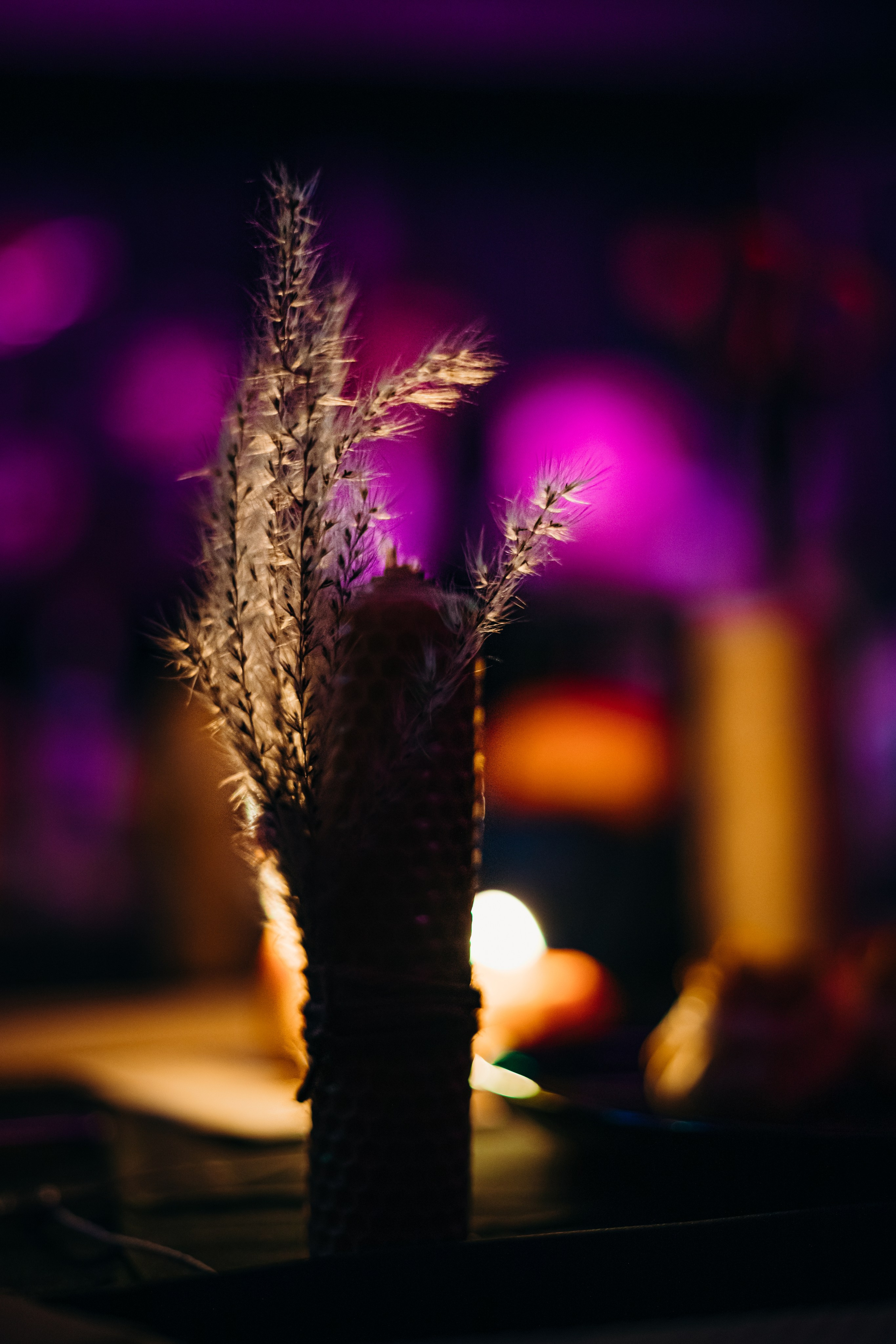 БУ! ИСПУГАЛСЯ? НЕ БОЙСЯ