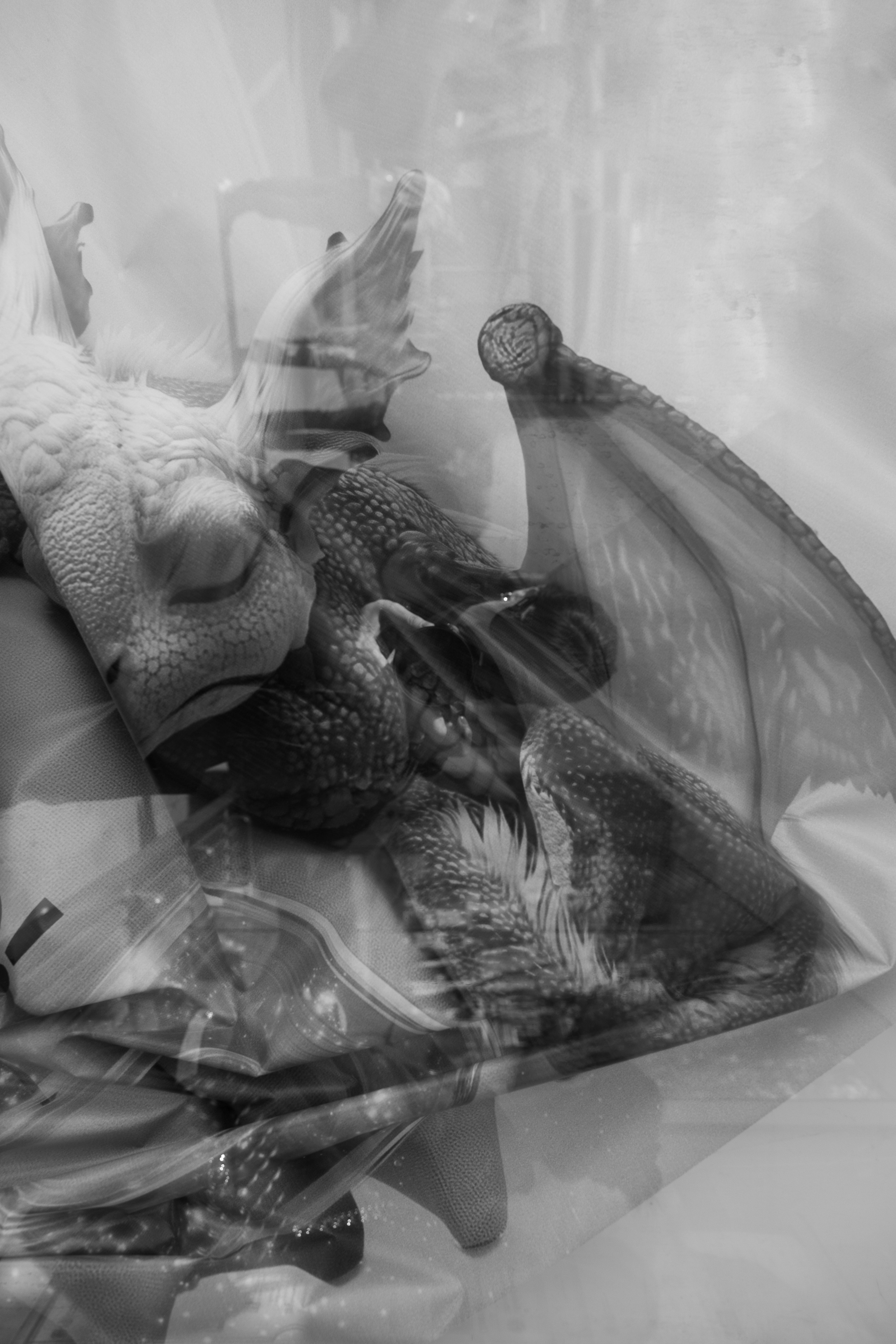 Art prints. Фотограф алина стерхова, алина стерхова фотограф, фотограф москва