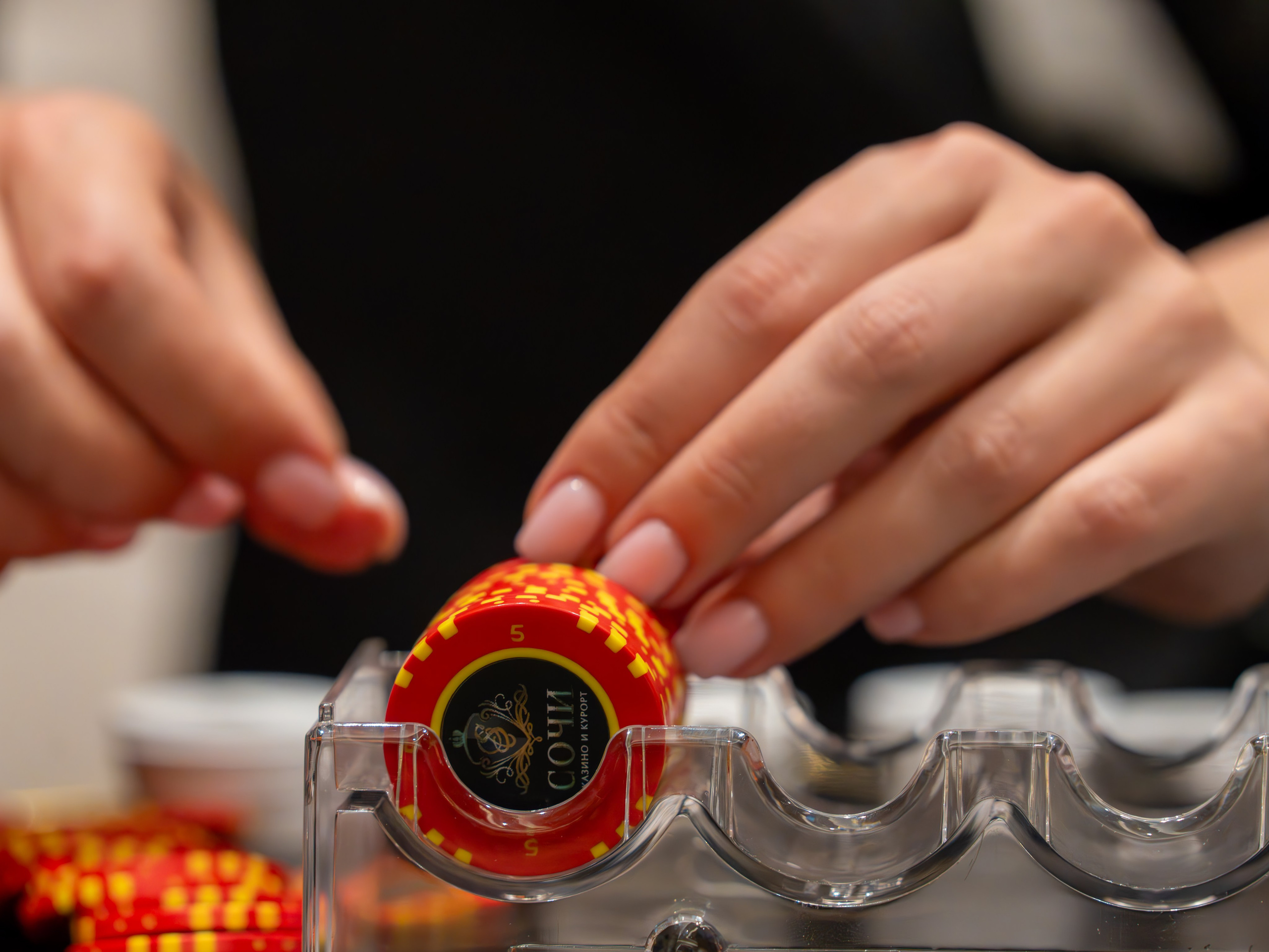 MICE мероприятие для компании «Базис». Репортажный фотограф в Красной Поляне и Сочи Павлюченко Екатерина