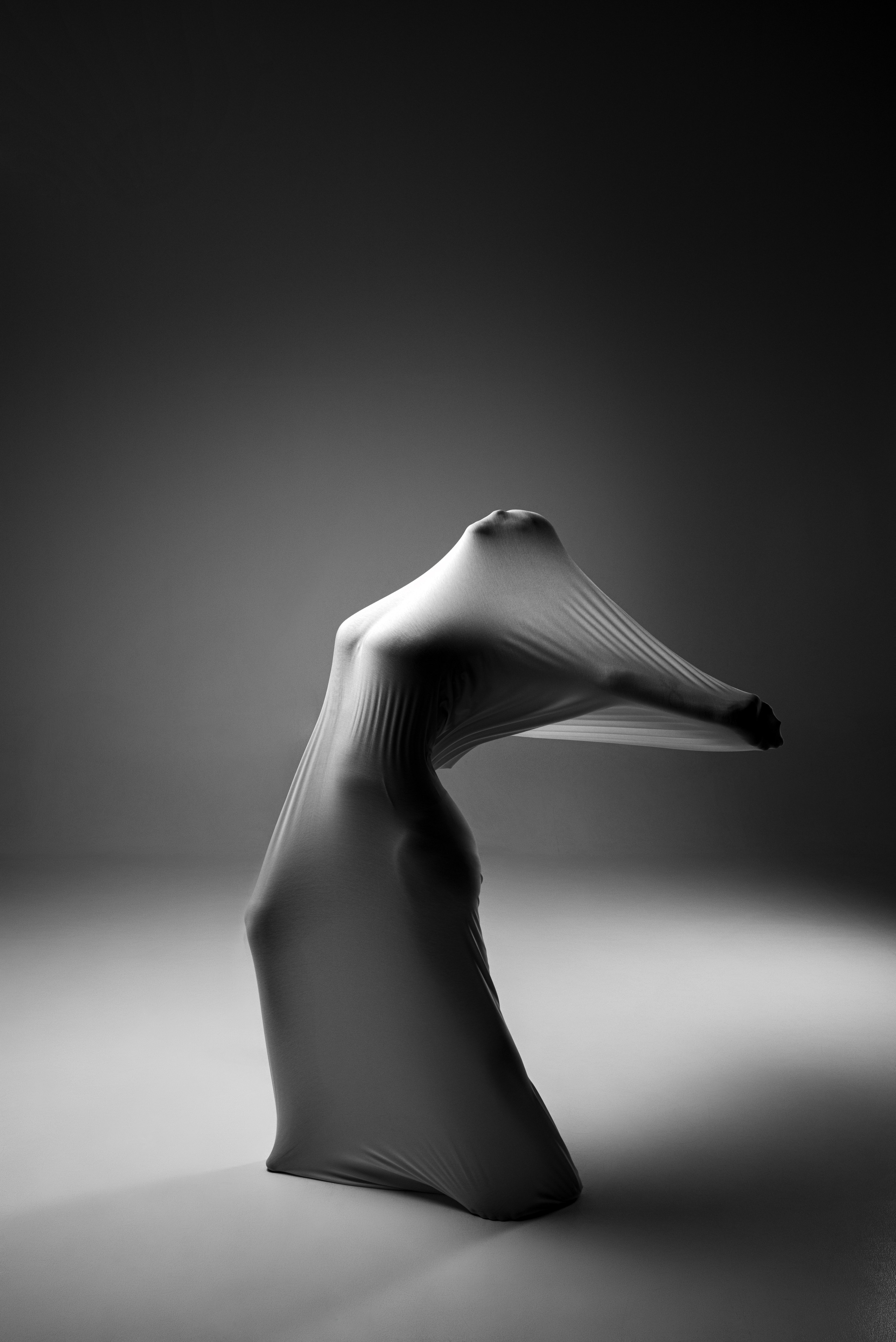 Фотографические скульптуры