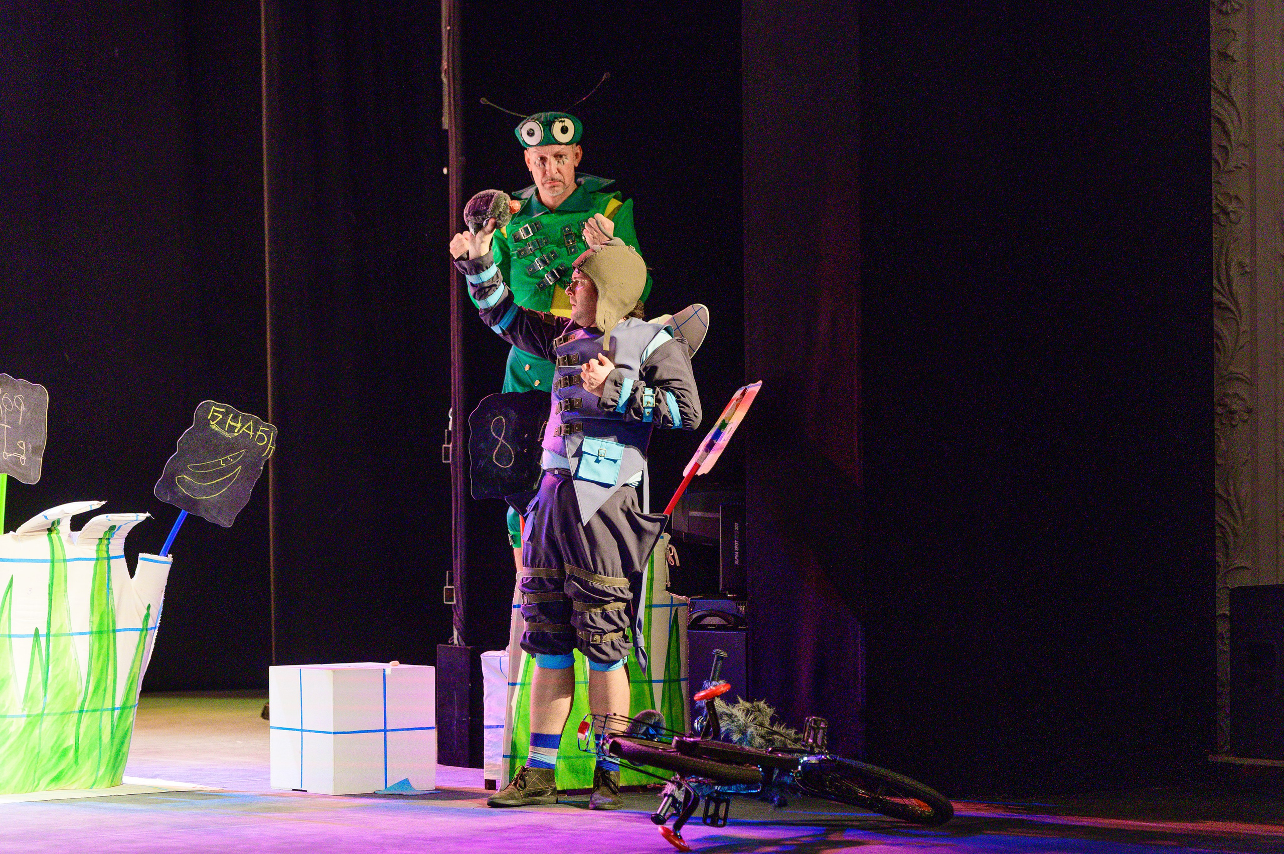 Муха Цокотуха. Фотоуслуги, услуги фотографа, фотографирование важных событий