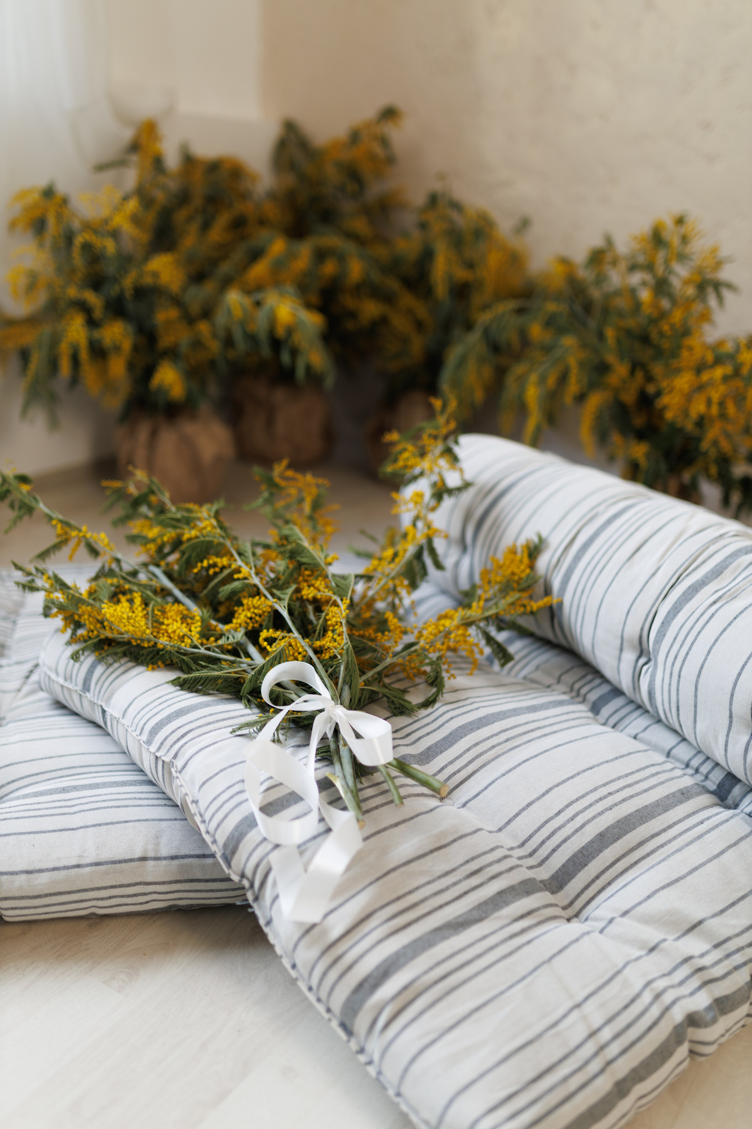 БРОНИРОВАТЬ. Фотостудия LEMAR