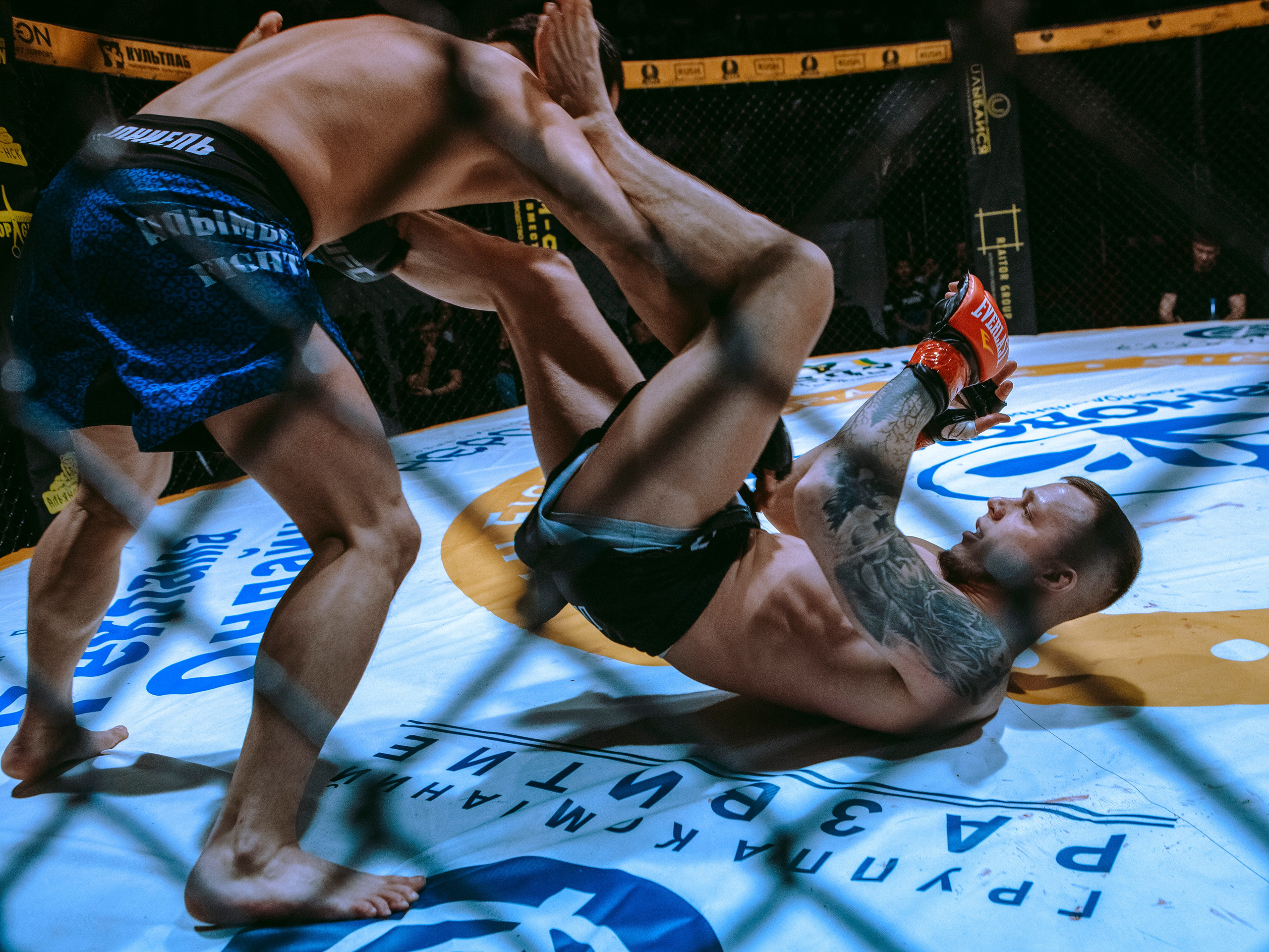 SFL 17 | Siberian Fighting League. Портретный фотограф в Москве Дарья Цезария