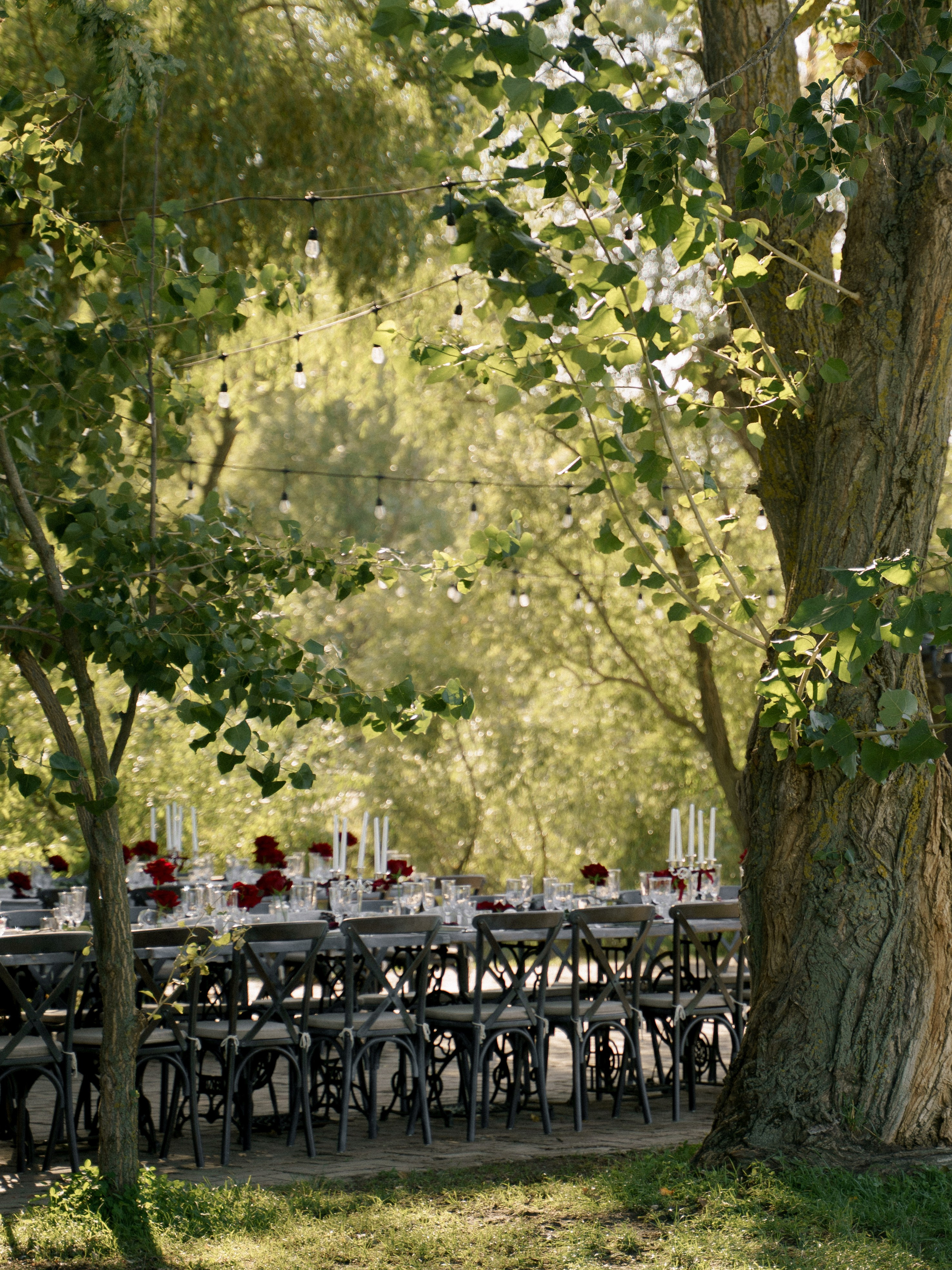Любовь на закате. Свадебный фотограф Корощенко Екатерина