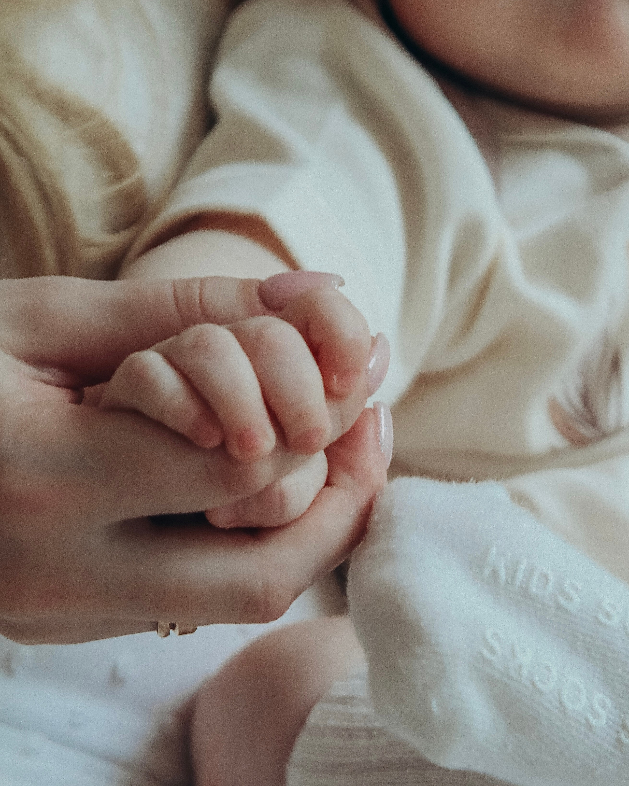 ВИЗУАЛ. Nuga_visual