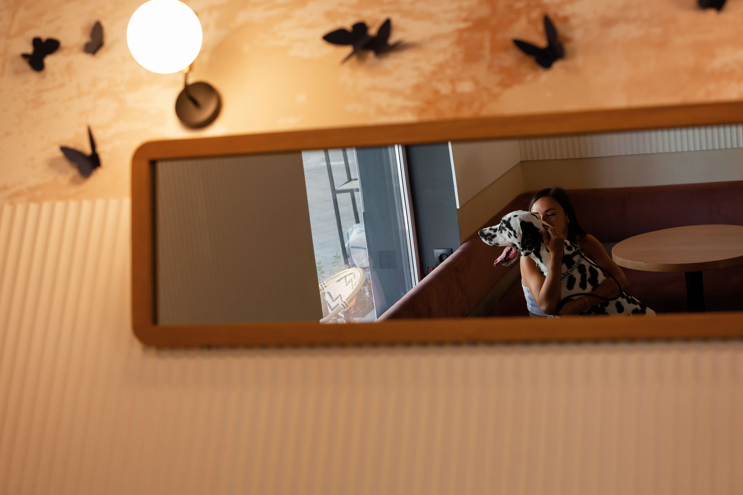 Далматин в Краснодаре. Фотограф-анималист в Краснодаре Маша Мельникова