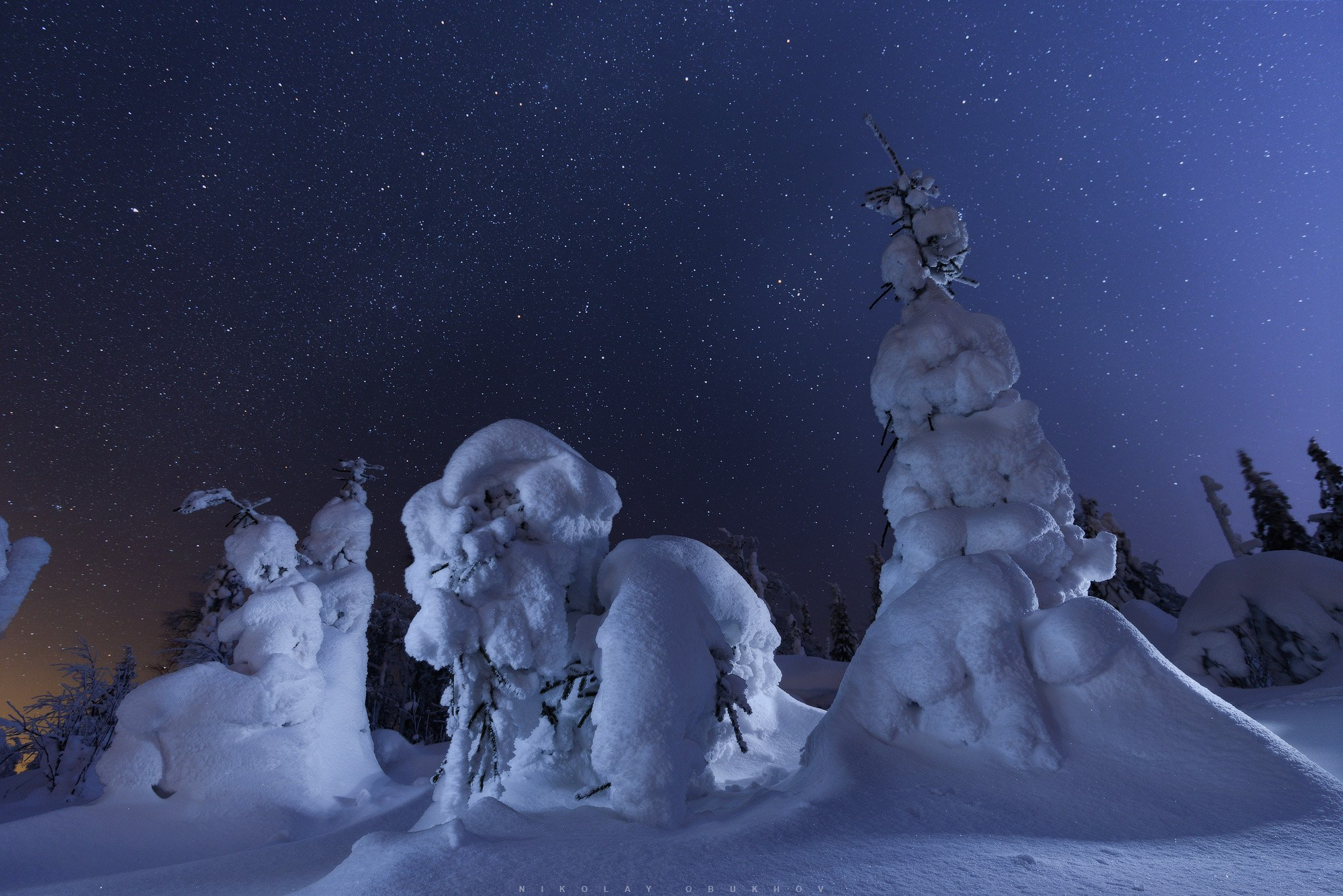 Звездное небо над заснеженным лесом в морозную зимнюю ночь.