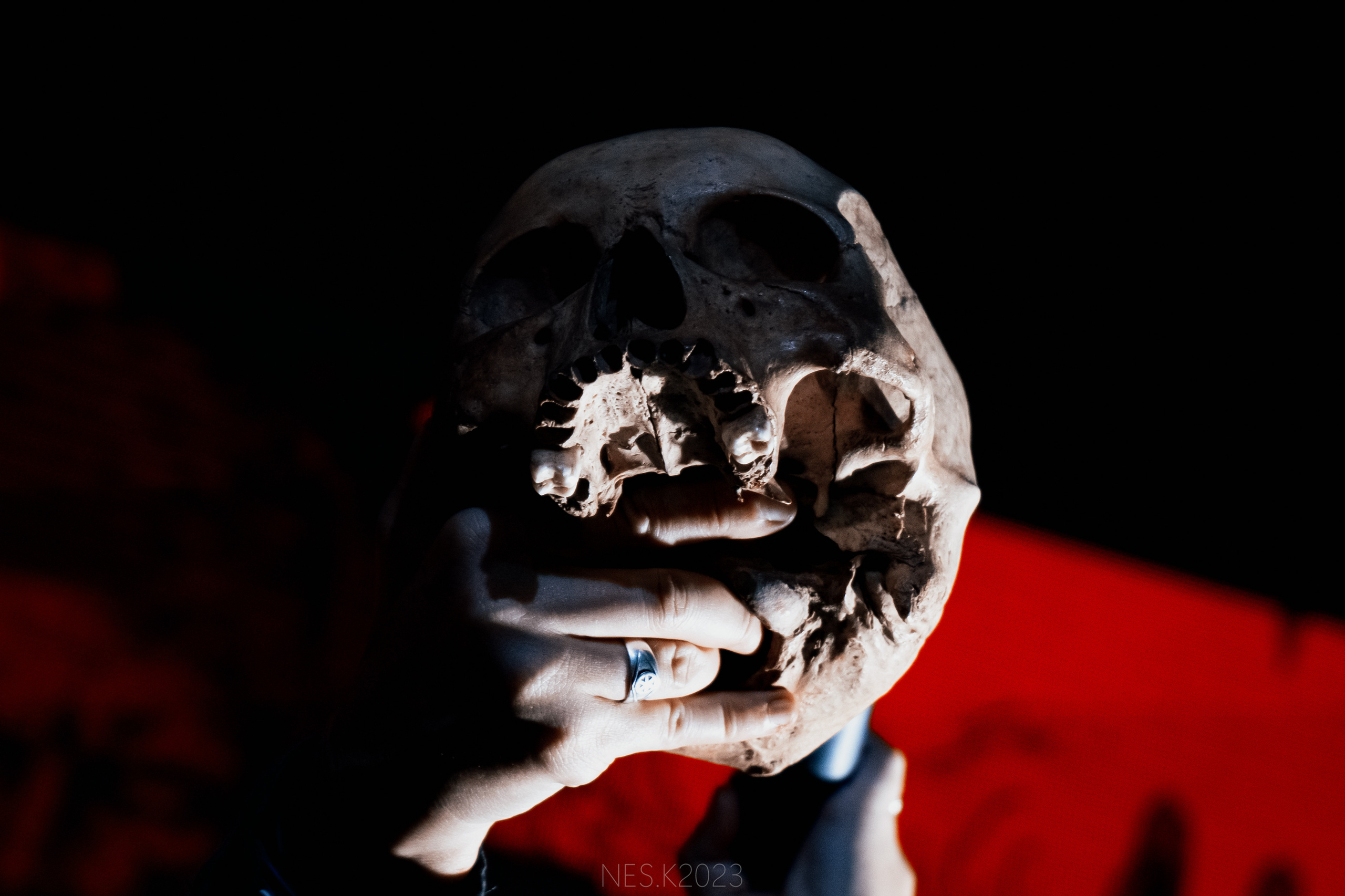 Аркона. Профессиональный фотограф в Москве и МО