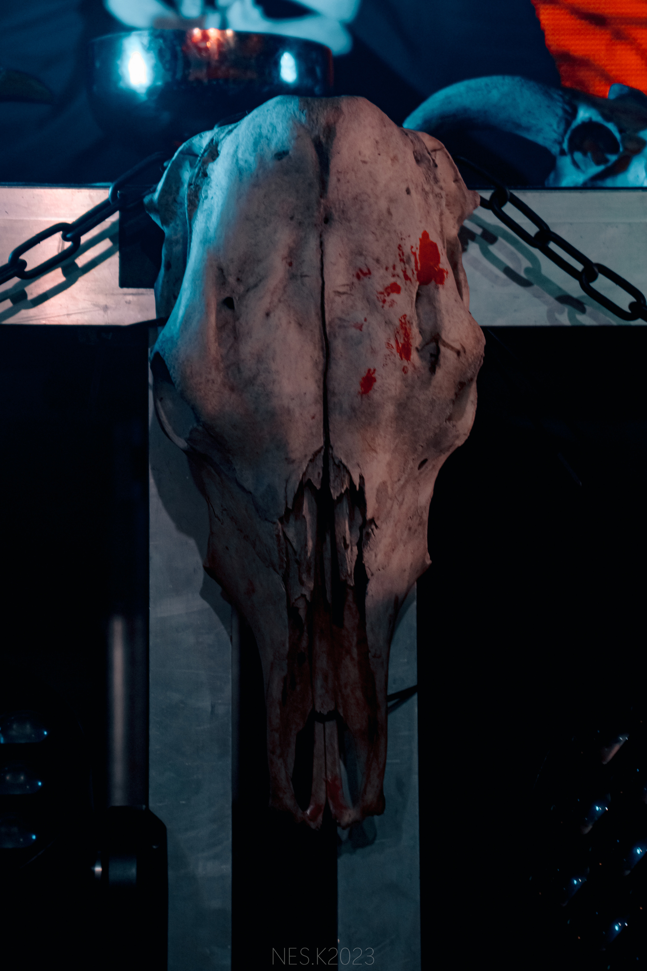 Аркона. Профессиональный фотограф в Москве и МО