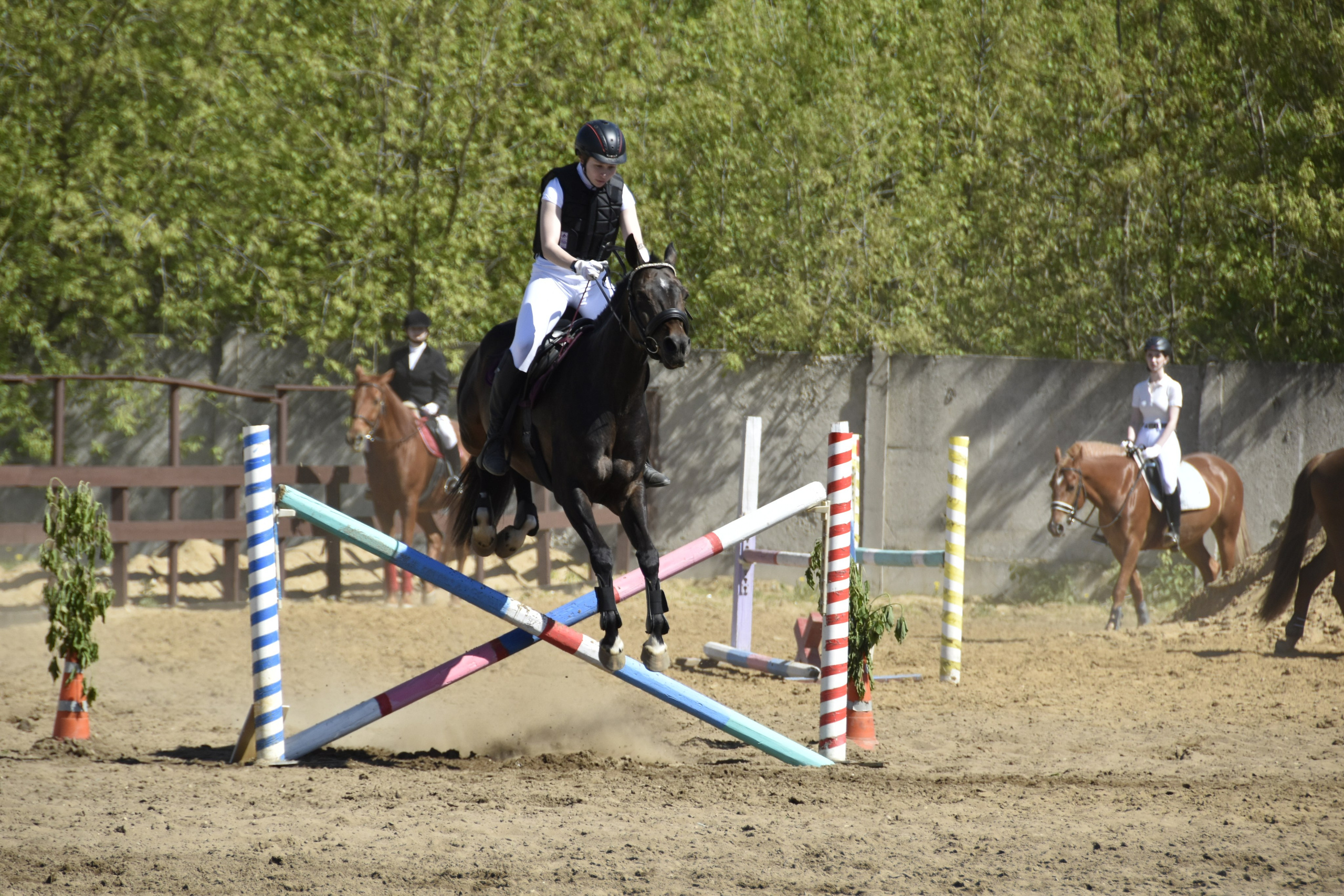 Соревнования по конкуру. КСК «Галактика». Конный фотограф Москва