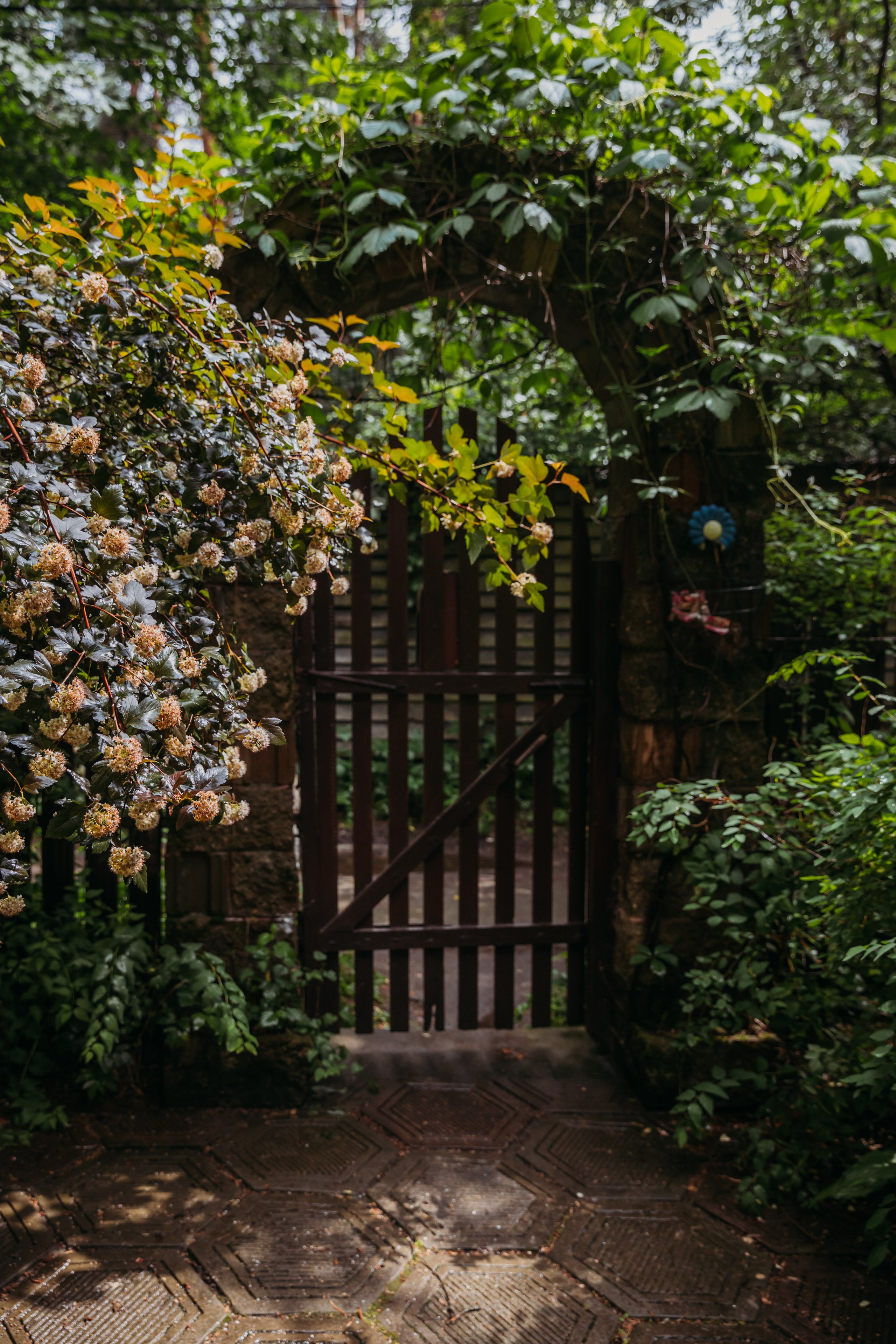 Родные люди «На дачу к Дмитрию Абрикосову». Леся Гаранина. Семейный фотограф/видеограф Москва и область