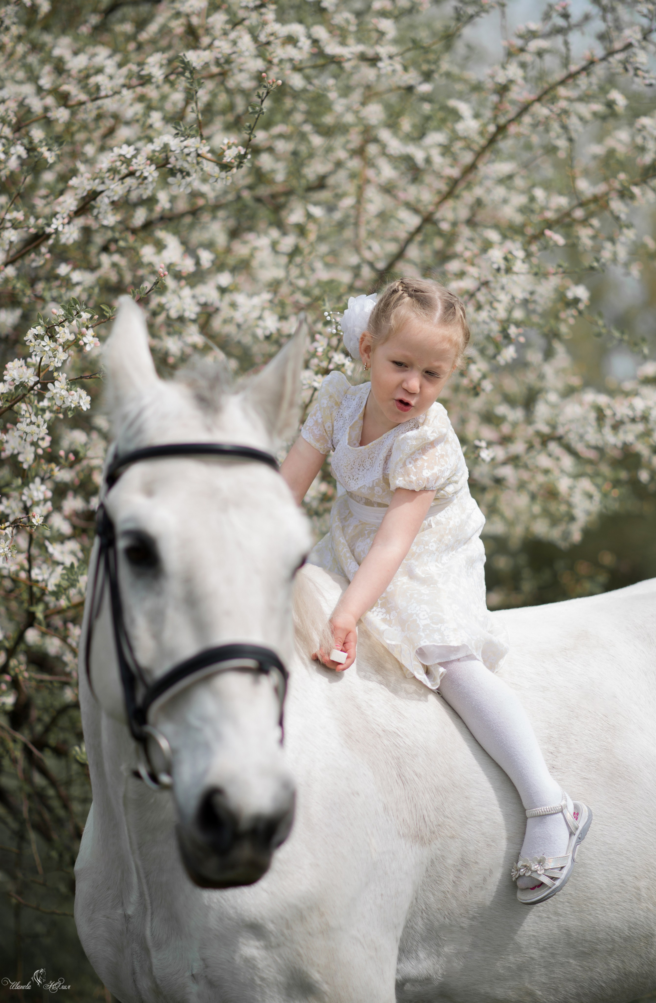 Мирослава и Гипноз. Конный фотограф в Саратове Юлия Иванова