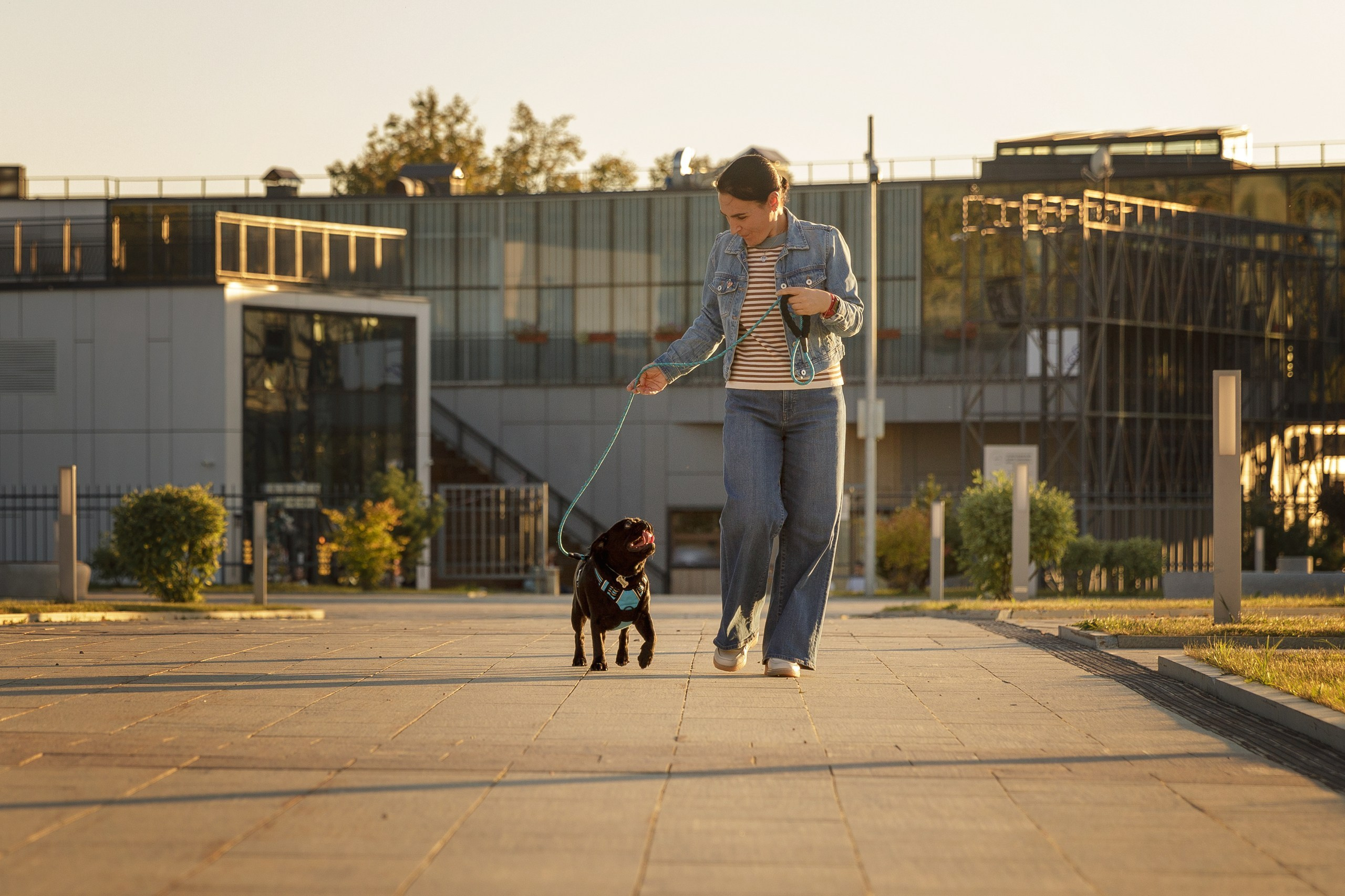 Ольга, Степан и Финик. Фотограф-анималист в Калуге Мария Шерскова