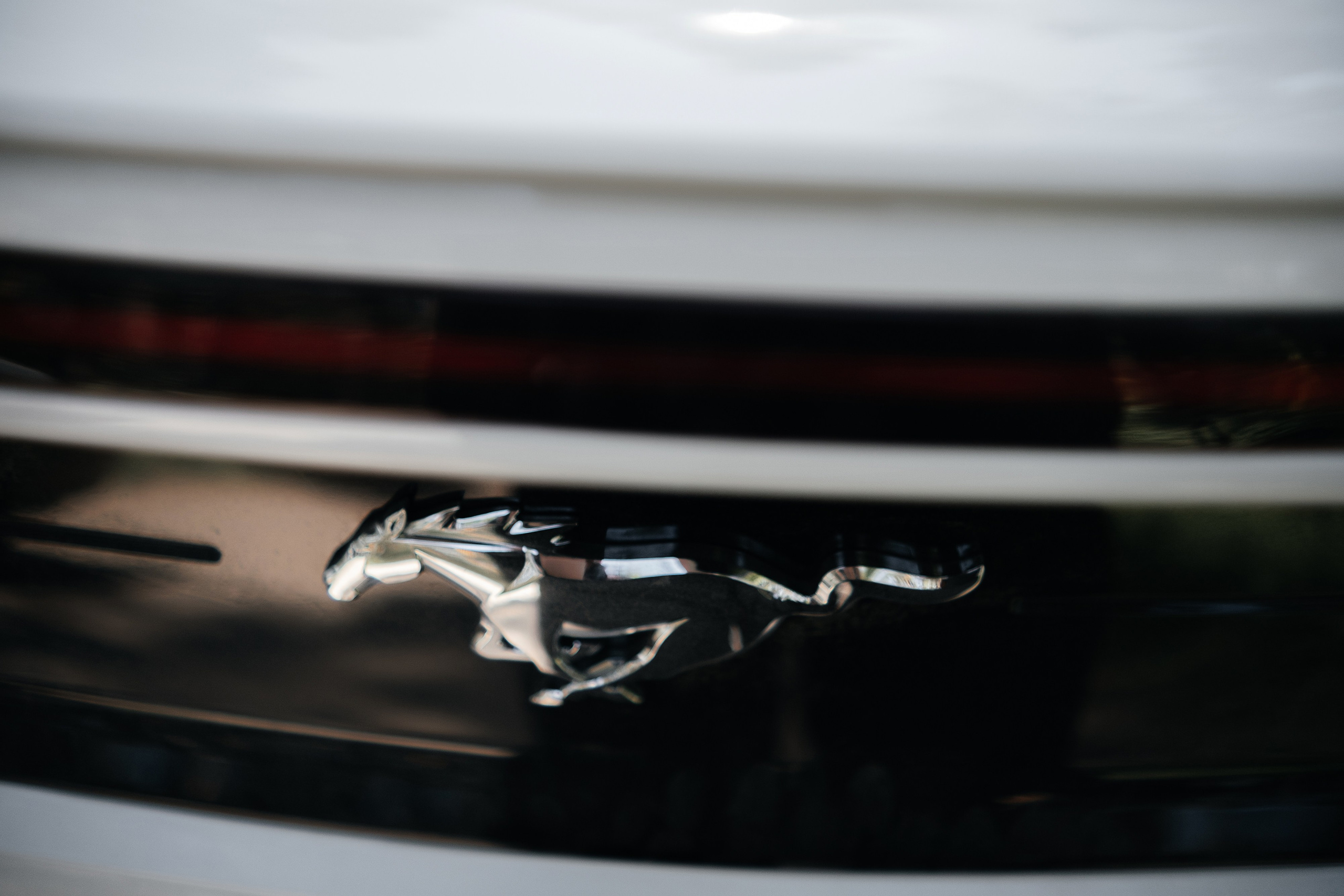 Степа_Вика. Свадебный и семейный фотограф Барнаул Рубцовск Бийск Алтайский край