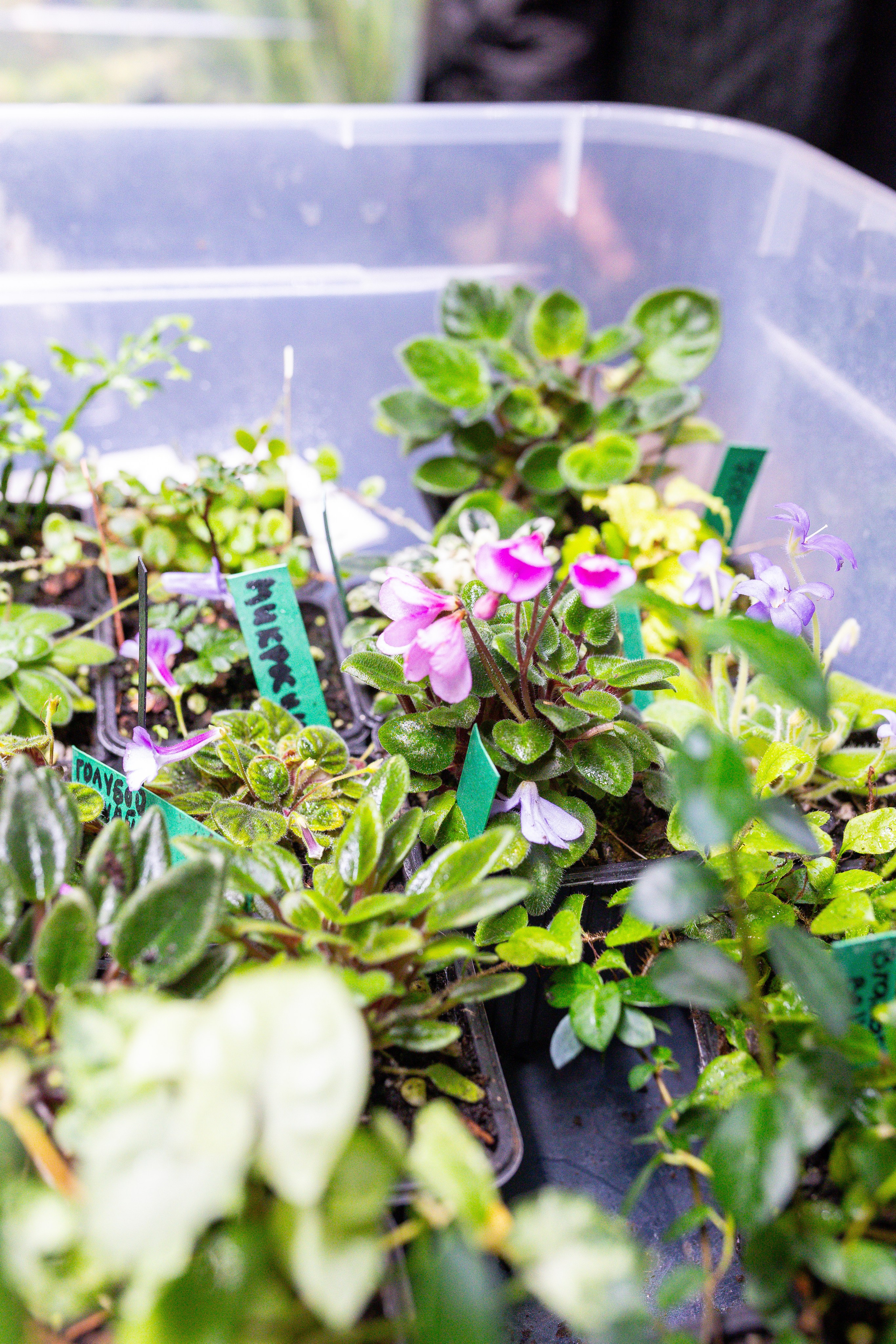 Монстериум 11–12 октября. Александра Куликова фотограф, Москва