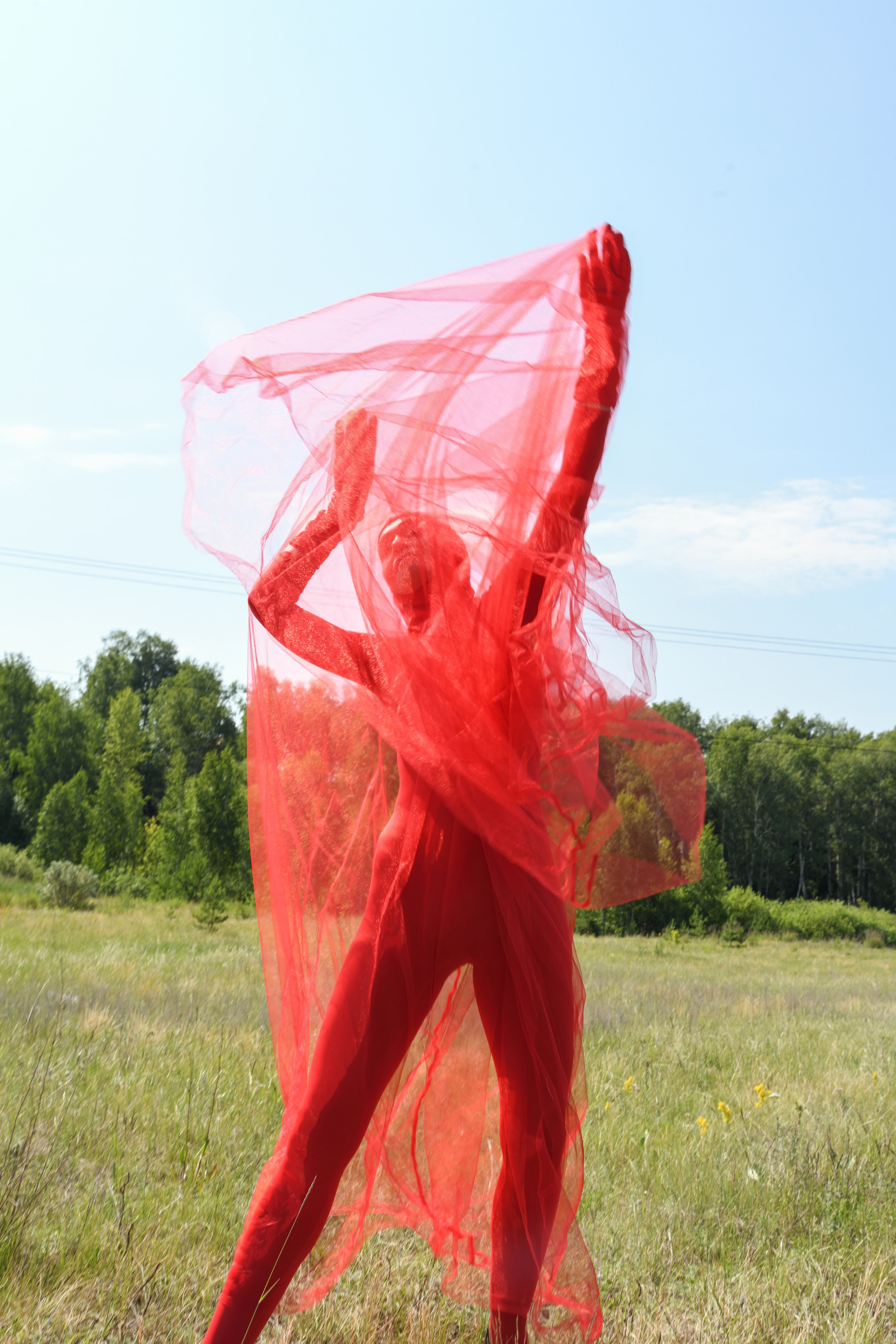TERRA NOSTRA. Yulia Yurchevskaya | Art Director & Visual Visionary