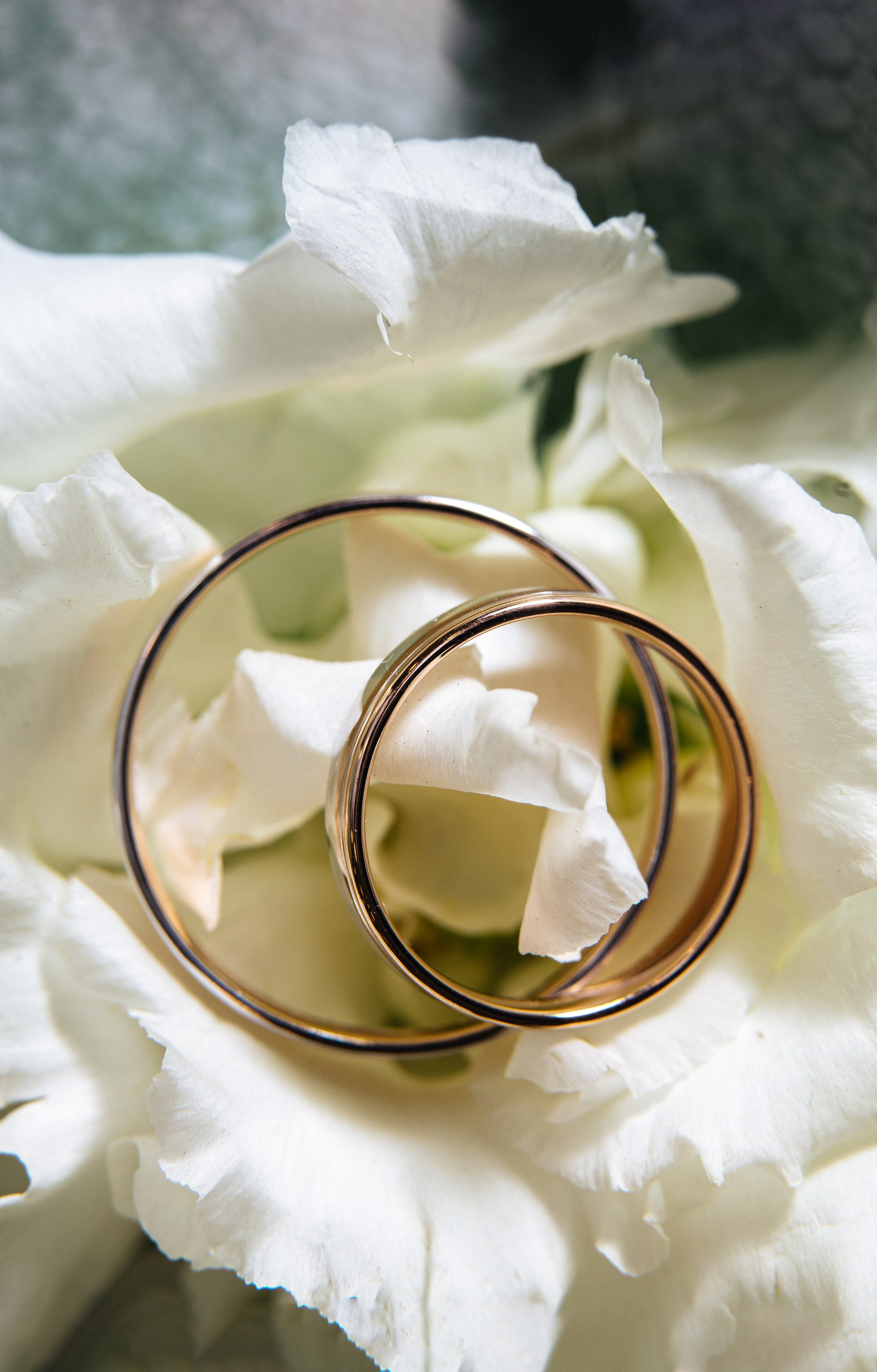 Чувства. Александр Антонов. Профессиональный свадебный, репортажный фотограф в Москве, Подольске. Фото+Видео на любой праздник