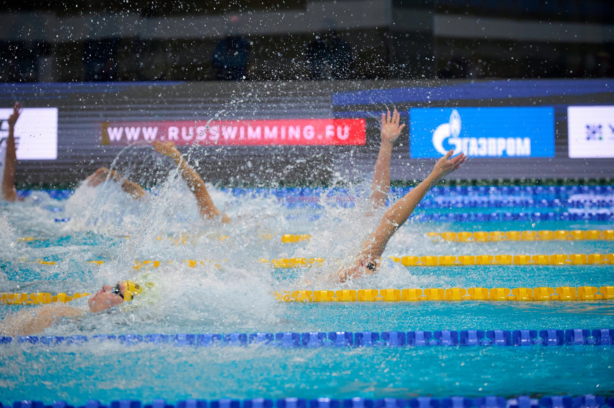 Кубок России по плаванию 2024 г. Екатеринбург. Мезенцев Евгений фотограф