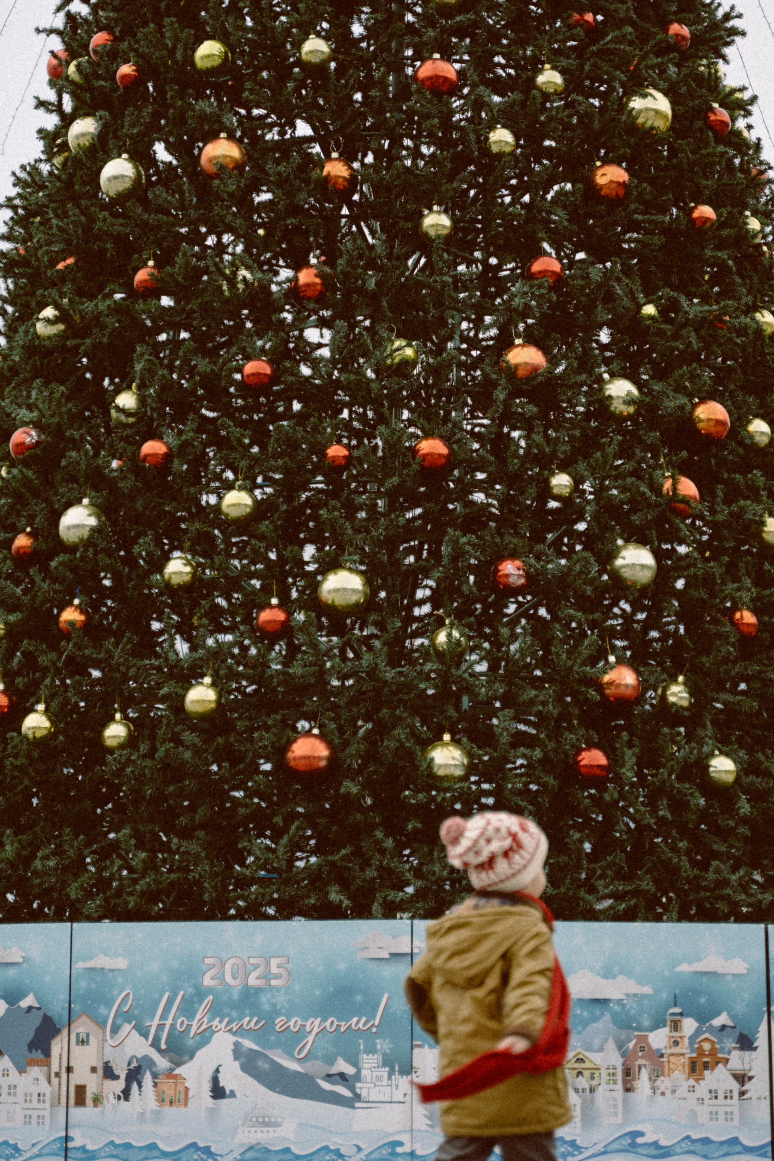 Один дома. Мария Кобзева, фотограф в Ялте, Крым