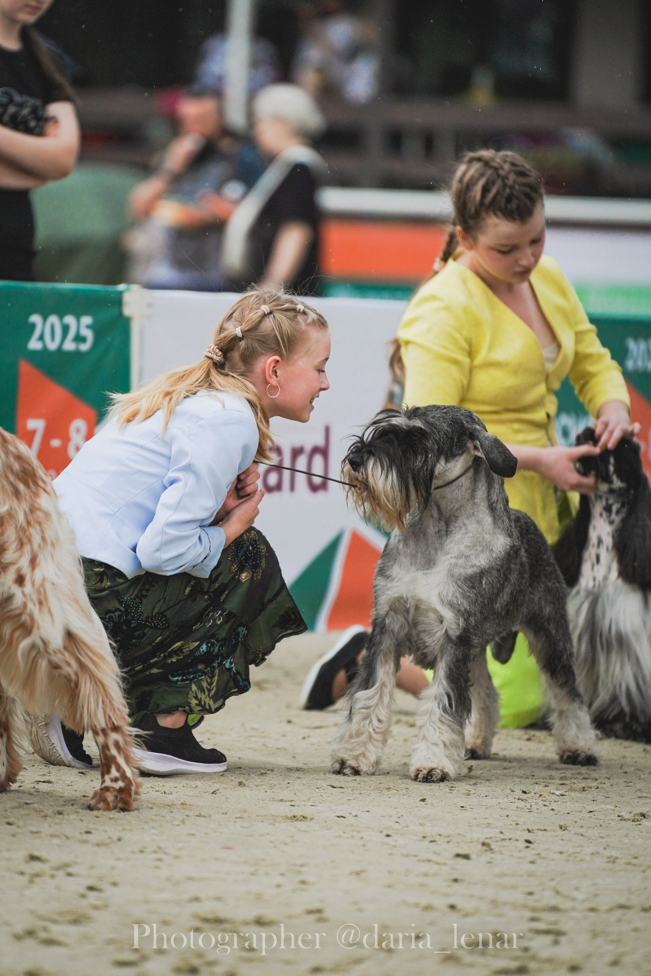 Выставки собак. Фотограф в Москве Ленарская Дарья