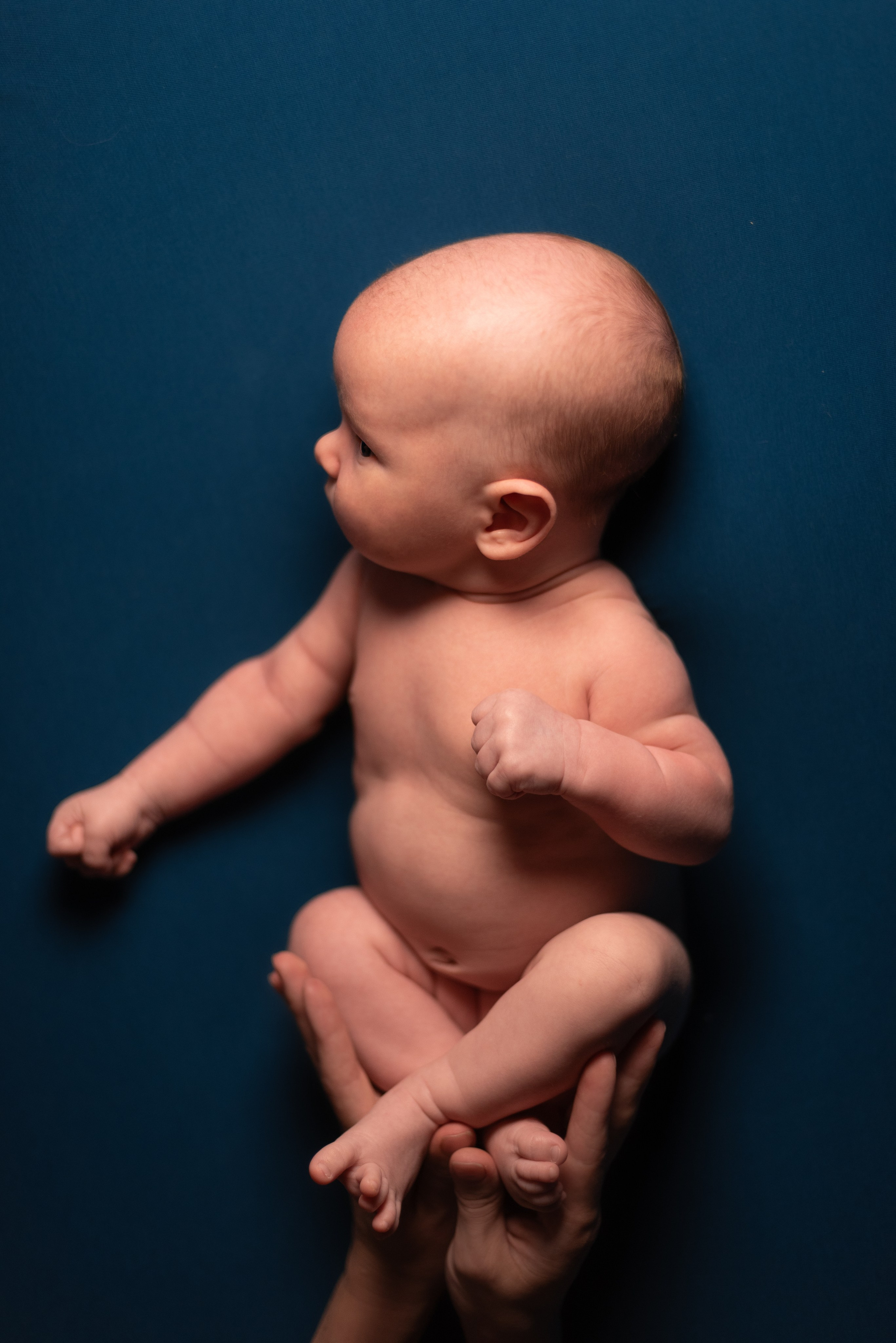 ✨. Профессиональный фотограф новорожденных Тверь