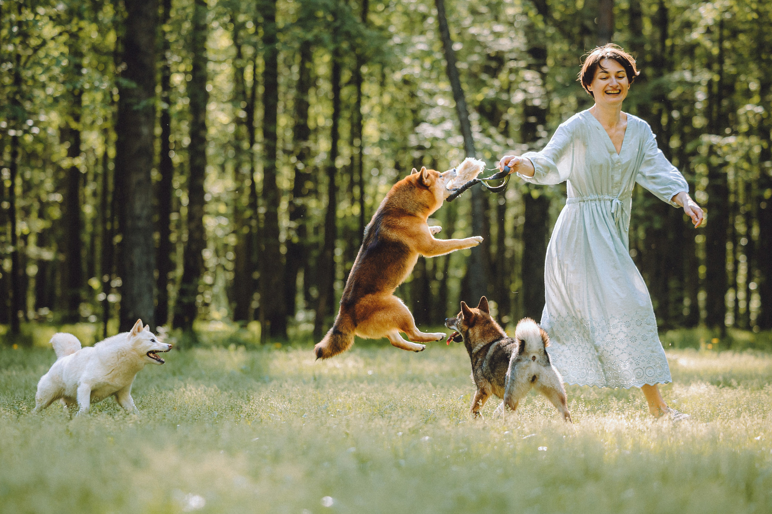 Шед, Цири, Чиби, Цера и их семья