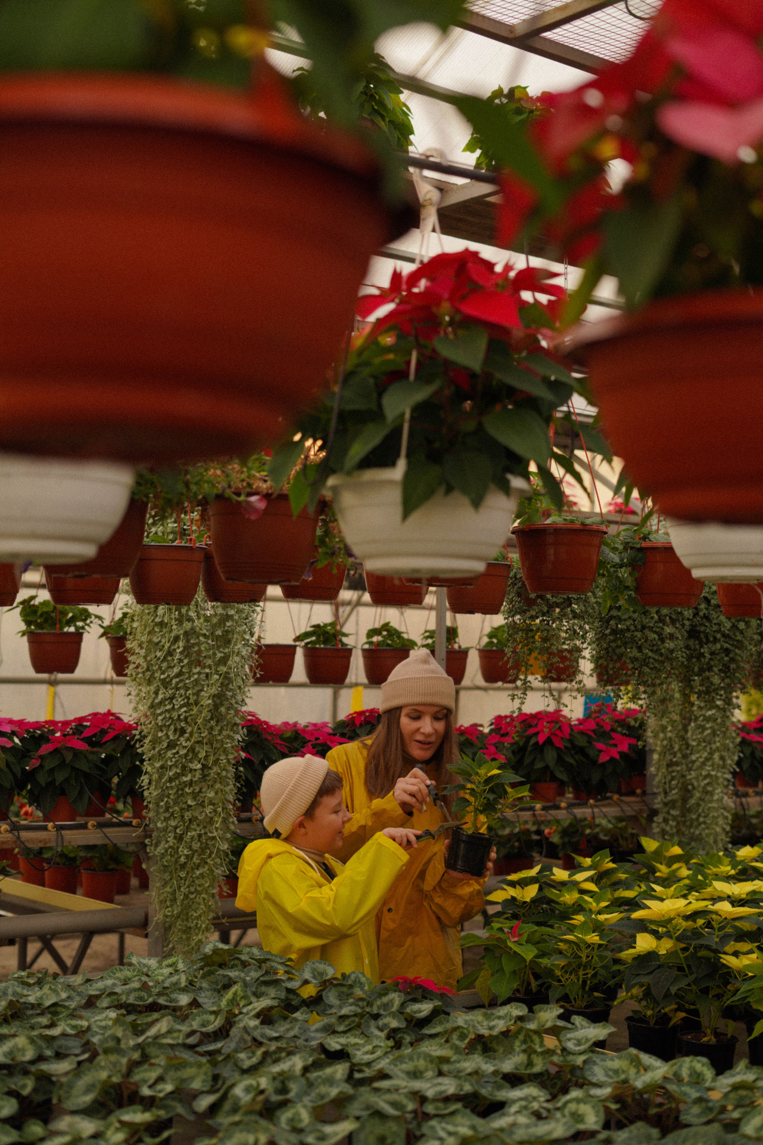 Осень и ее прелести. Свадебный и семейный фотограф Афанасьева Анна в Кисловодске