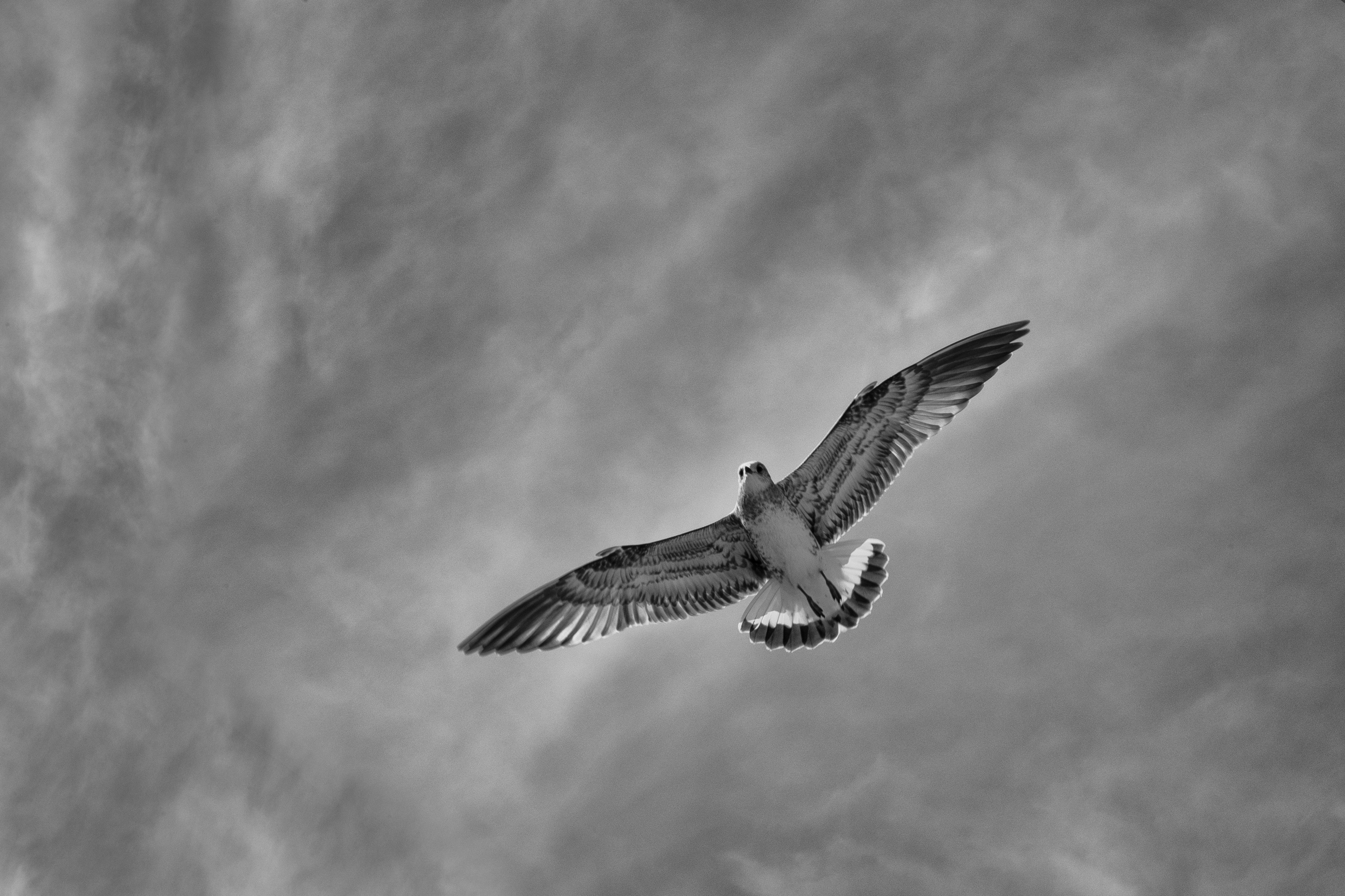 Видимое временно, а невидимое вечно…. Фотограф Ольга Дунаева