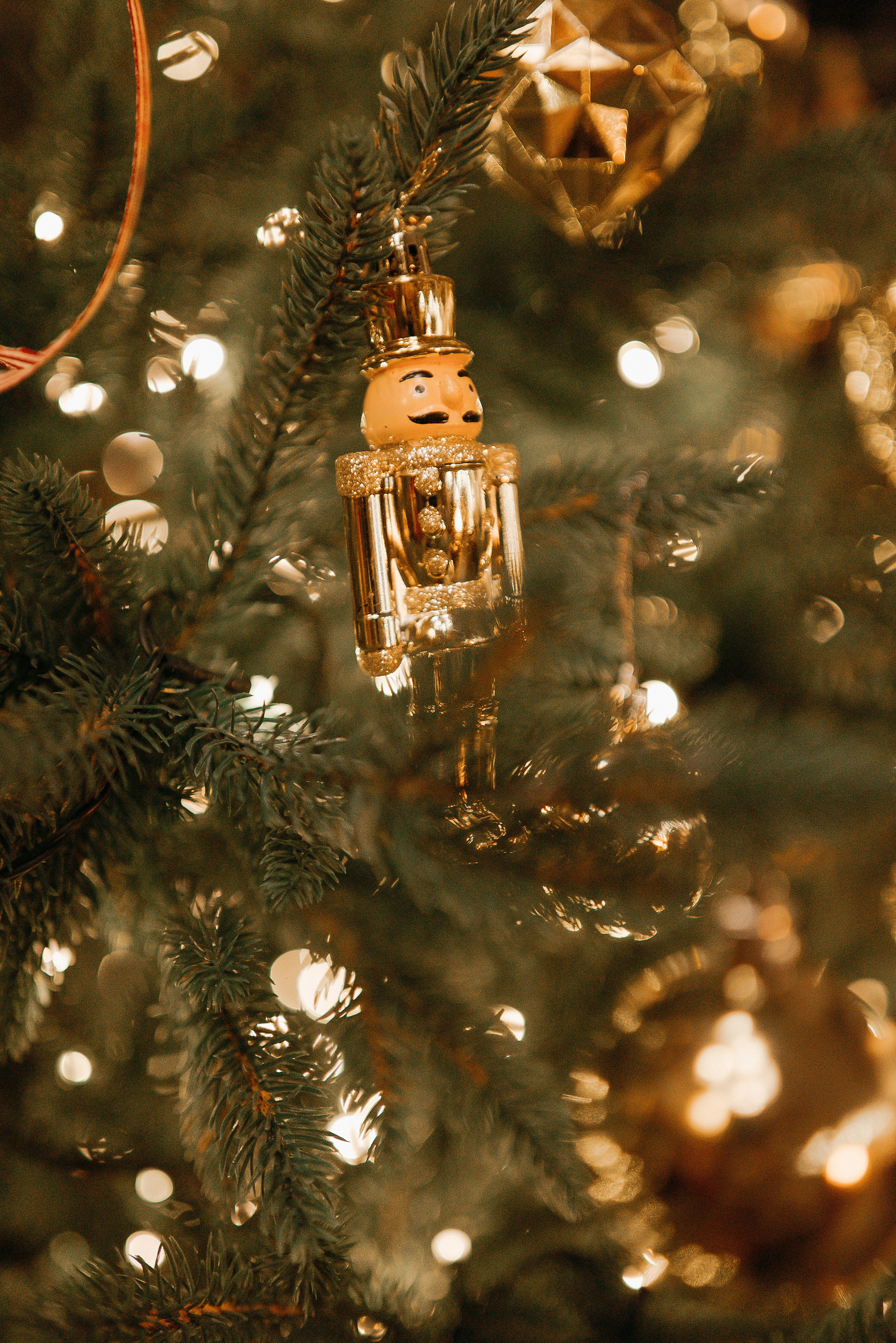 Тайный Санта. Свадебный и семейный фотограф в Ростове-на-Дону Алина Астахова