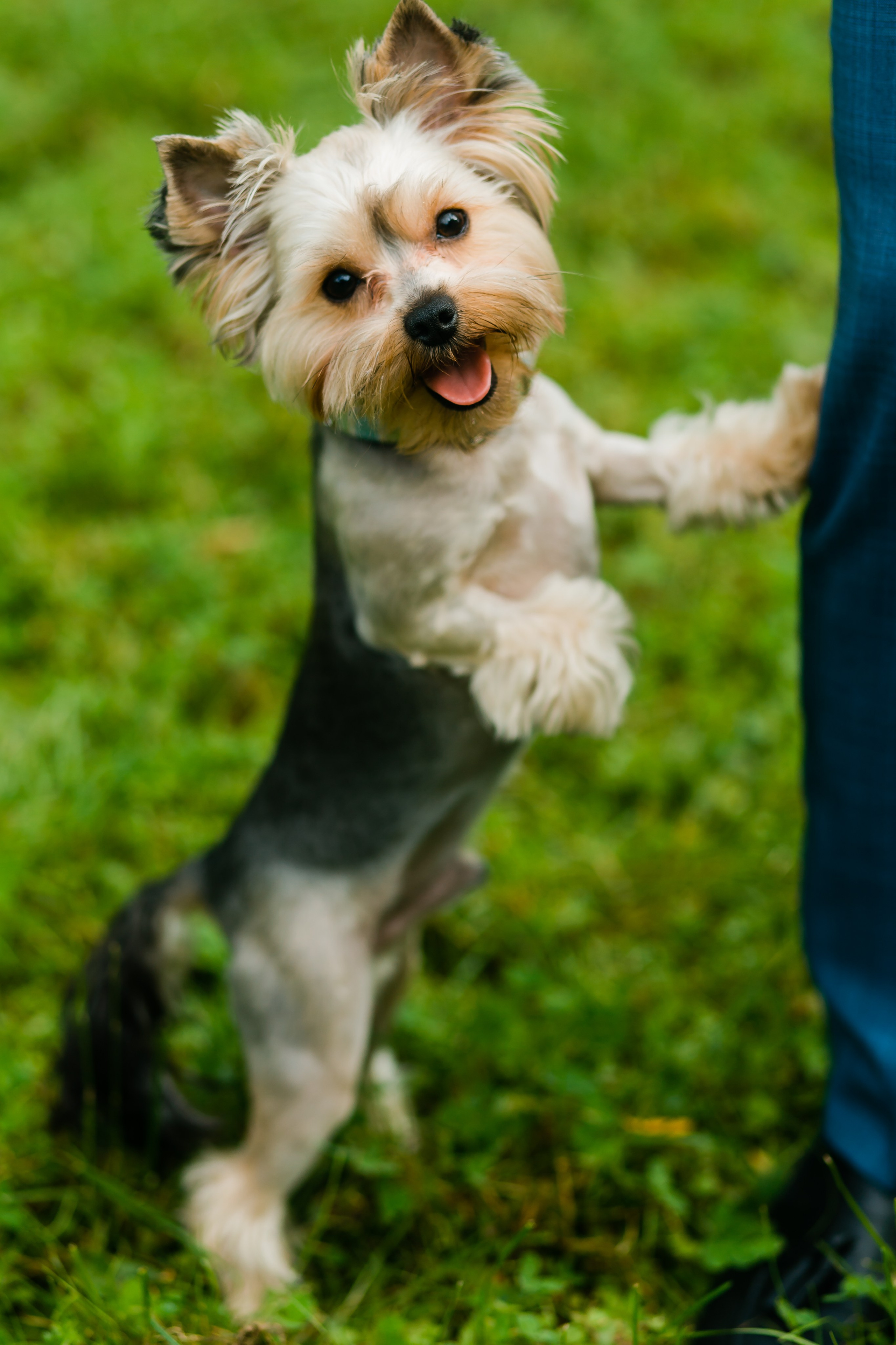 Фотосъемка Love story 1. Фотограф на Love story. Фотограф Анна Хомко. Беларусь, Москва, Варшава. Свадебная фотосъемка