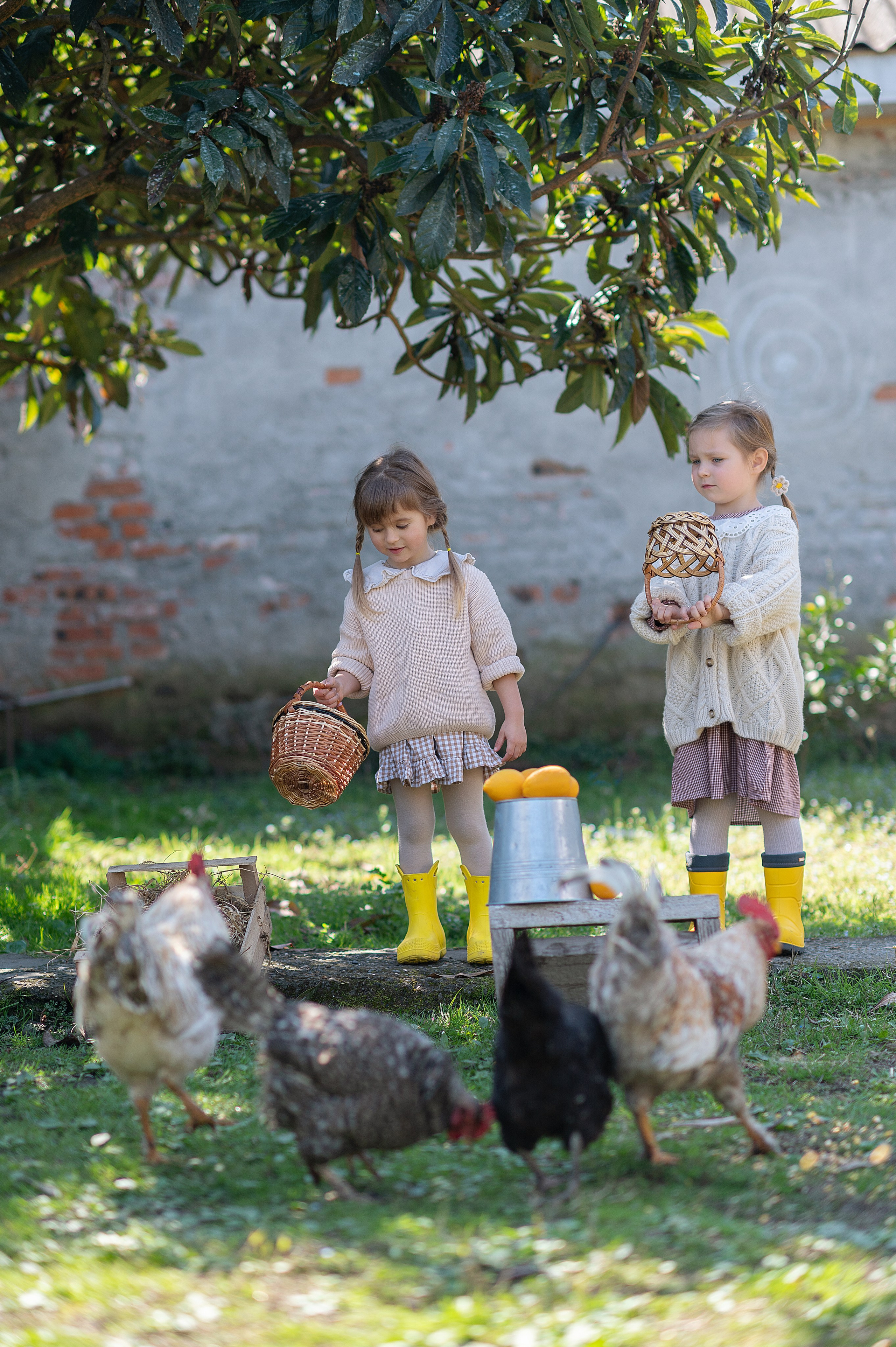 Курочки. Детский фотограф Абхазия