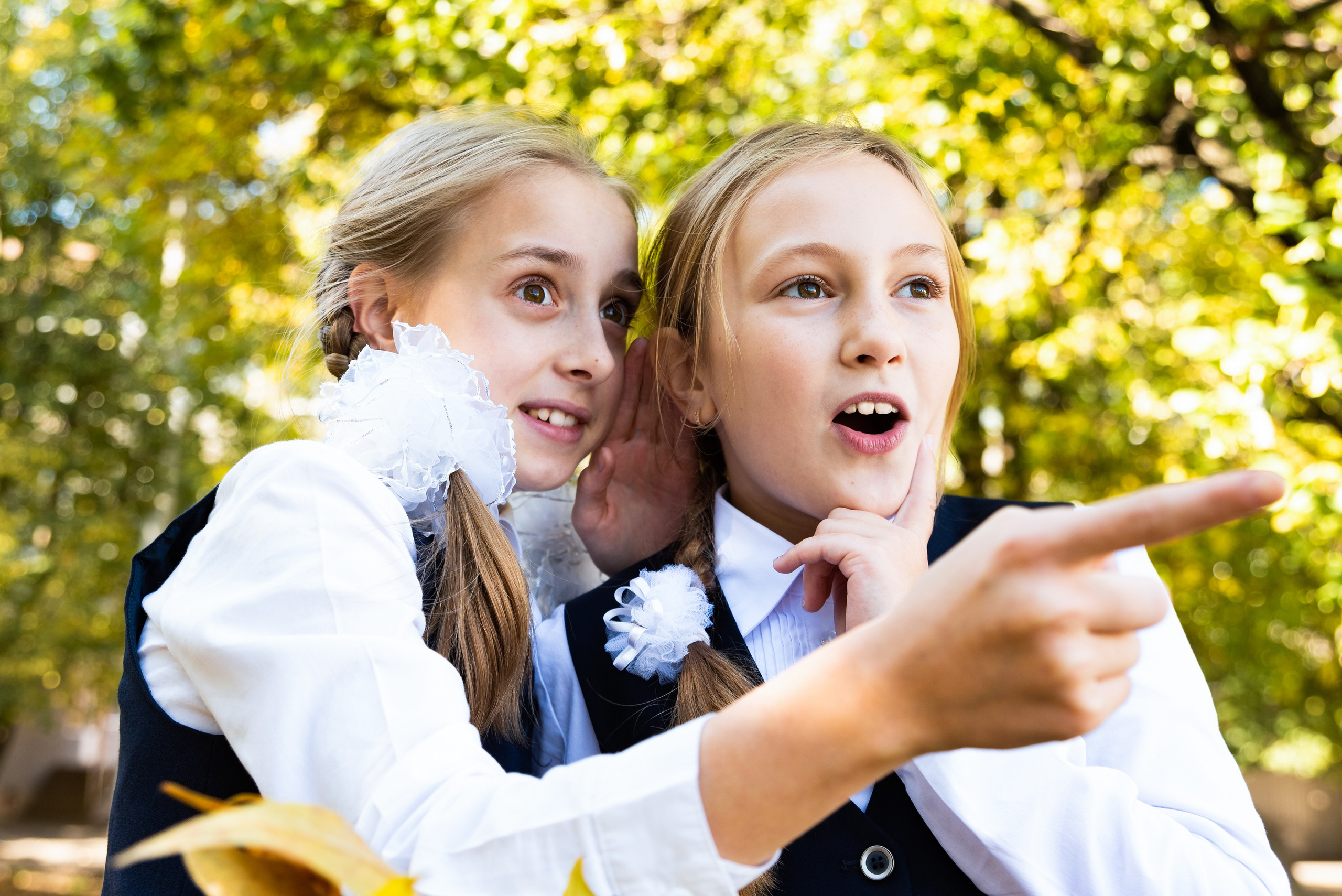 Девочки у школы - фото для выпускного альбома Краснодар