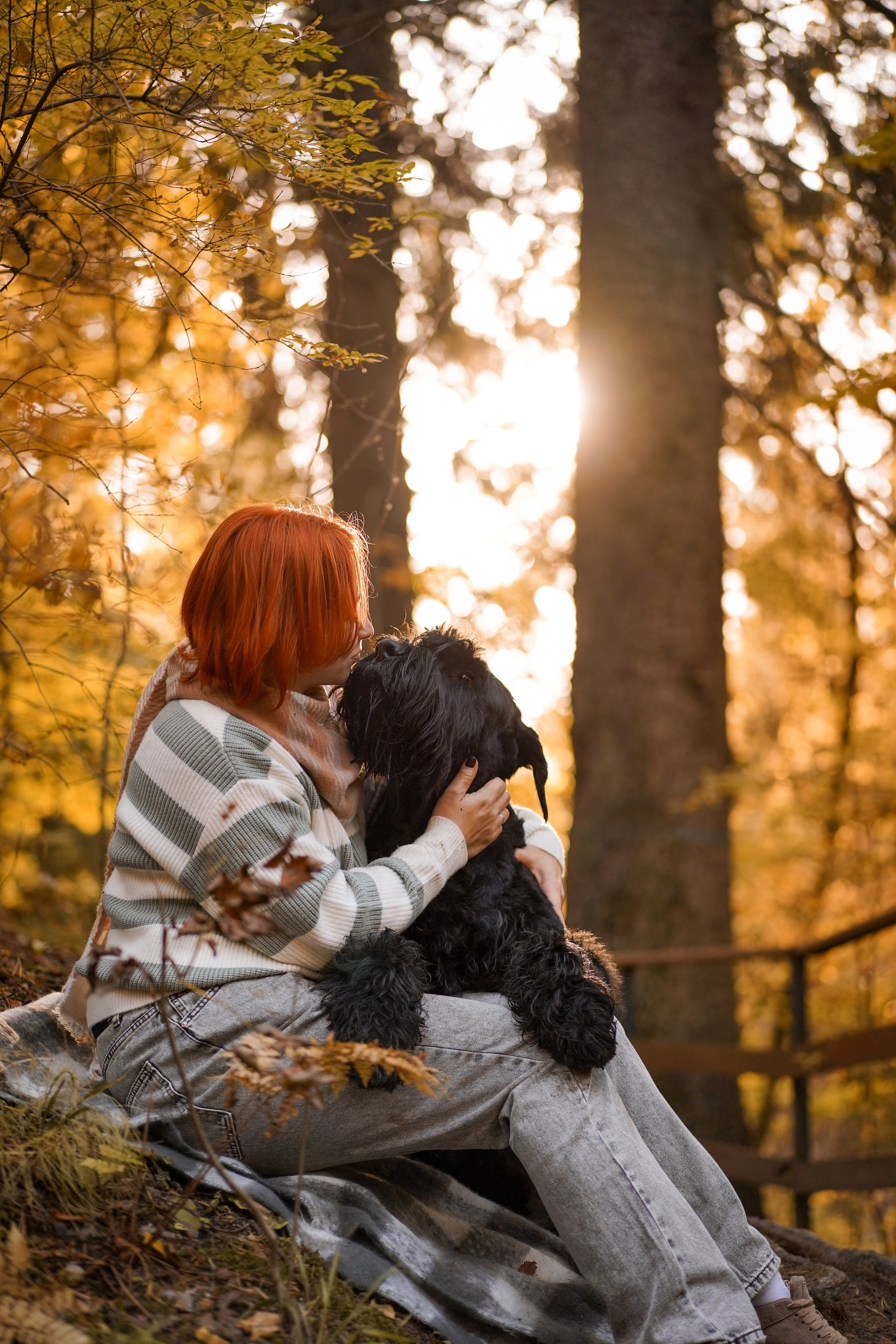 Оля Миша и шнауцеры. Фотограф-анималист в Санкт-Петербурге Яна Мартынова