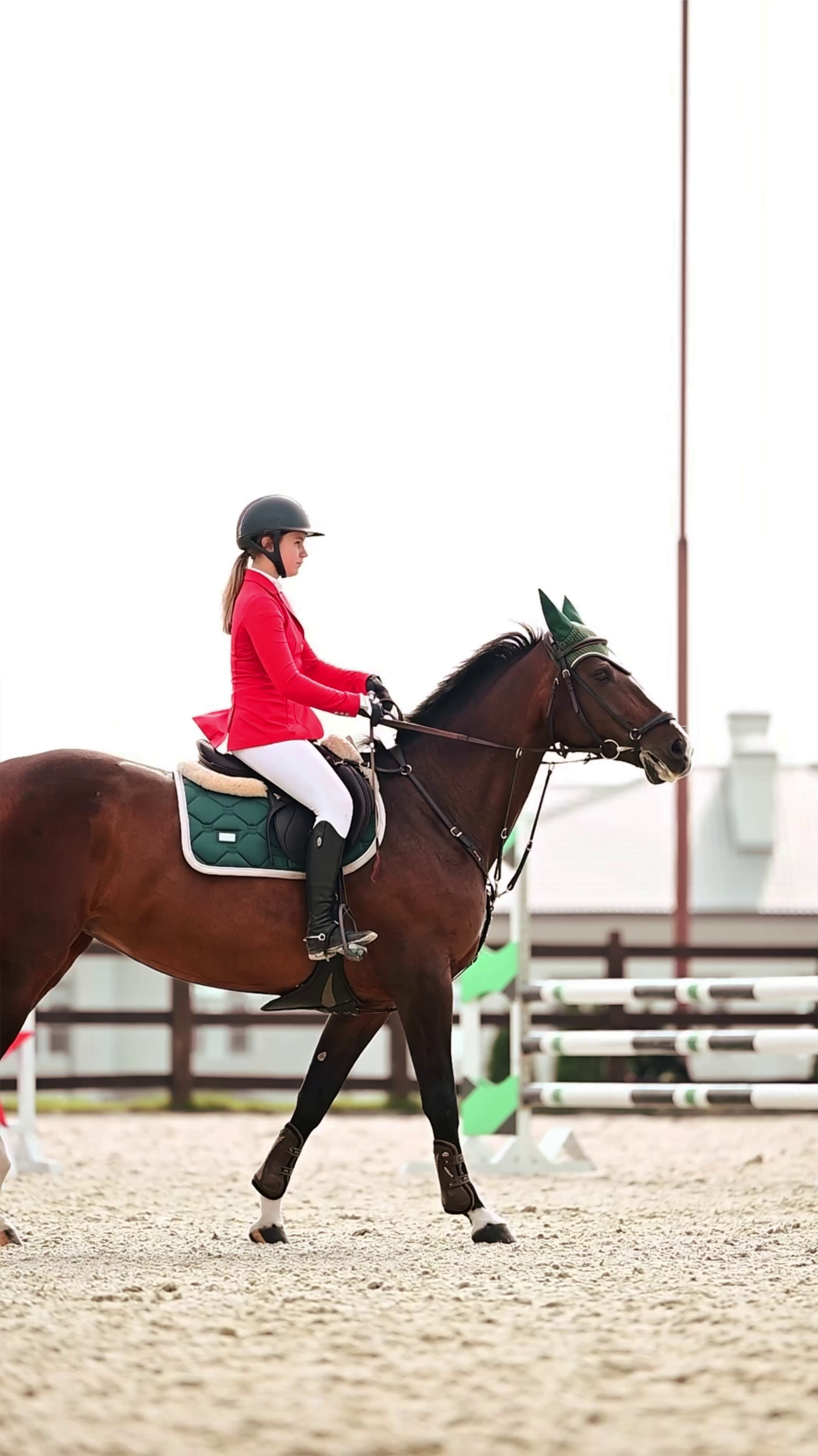 Видео Конкур|Рысистые бега. Мила Астахова