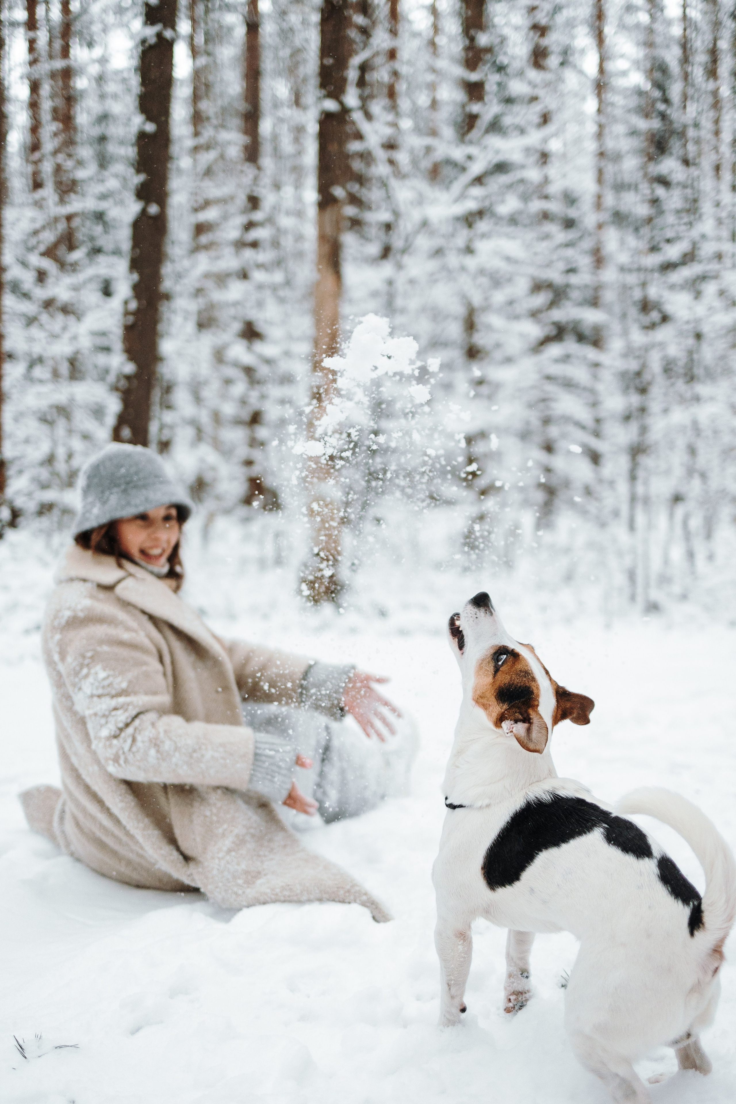 Мики и его семья. Фотограф — Анималист | Санкт-Петербург