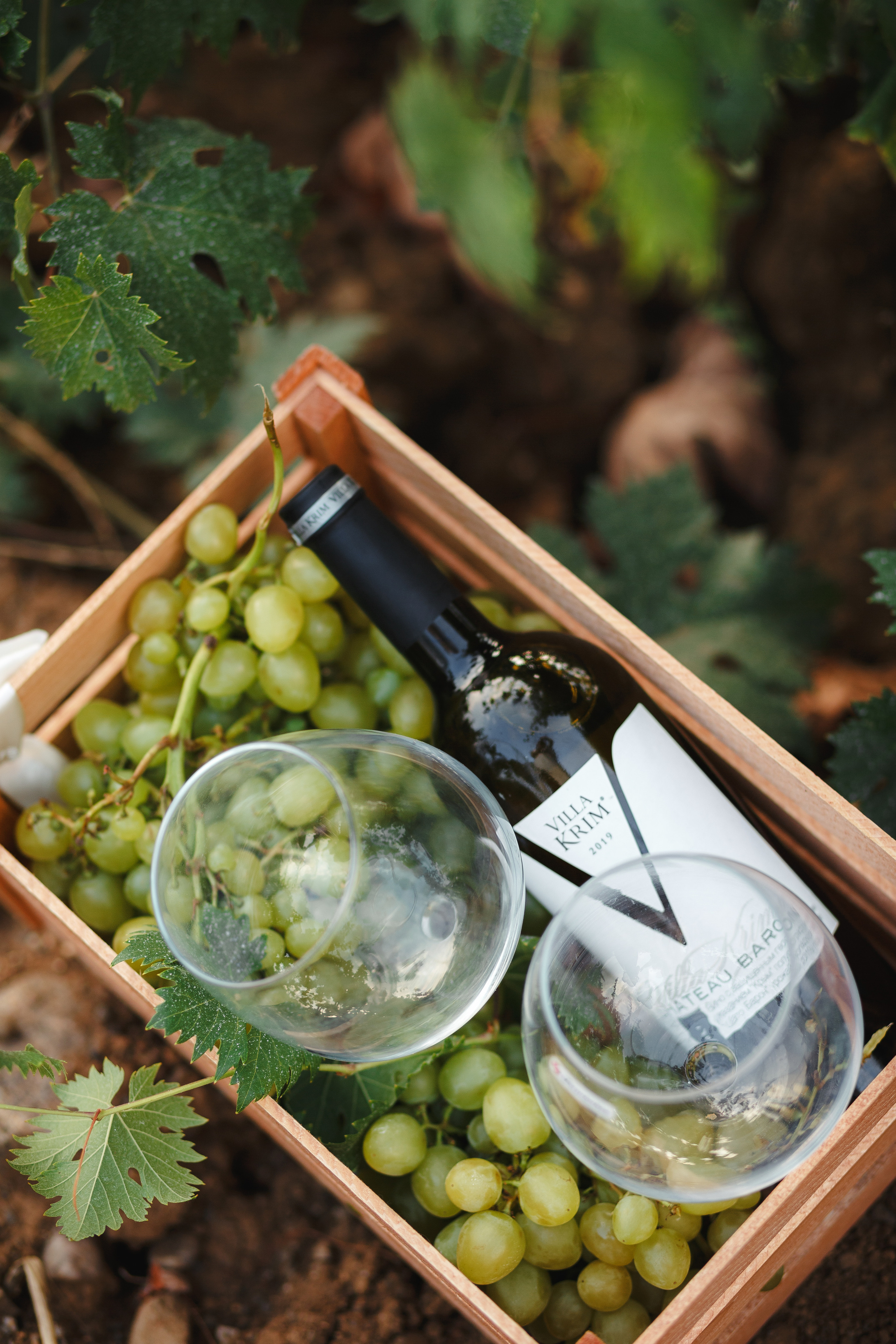 Эля, Руслан и Эмилия. Портретный фотограф в Симферополе Екатерина Аляпина