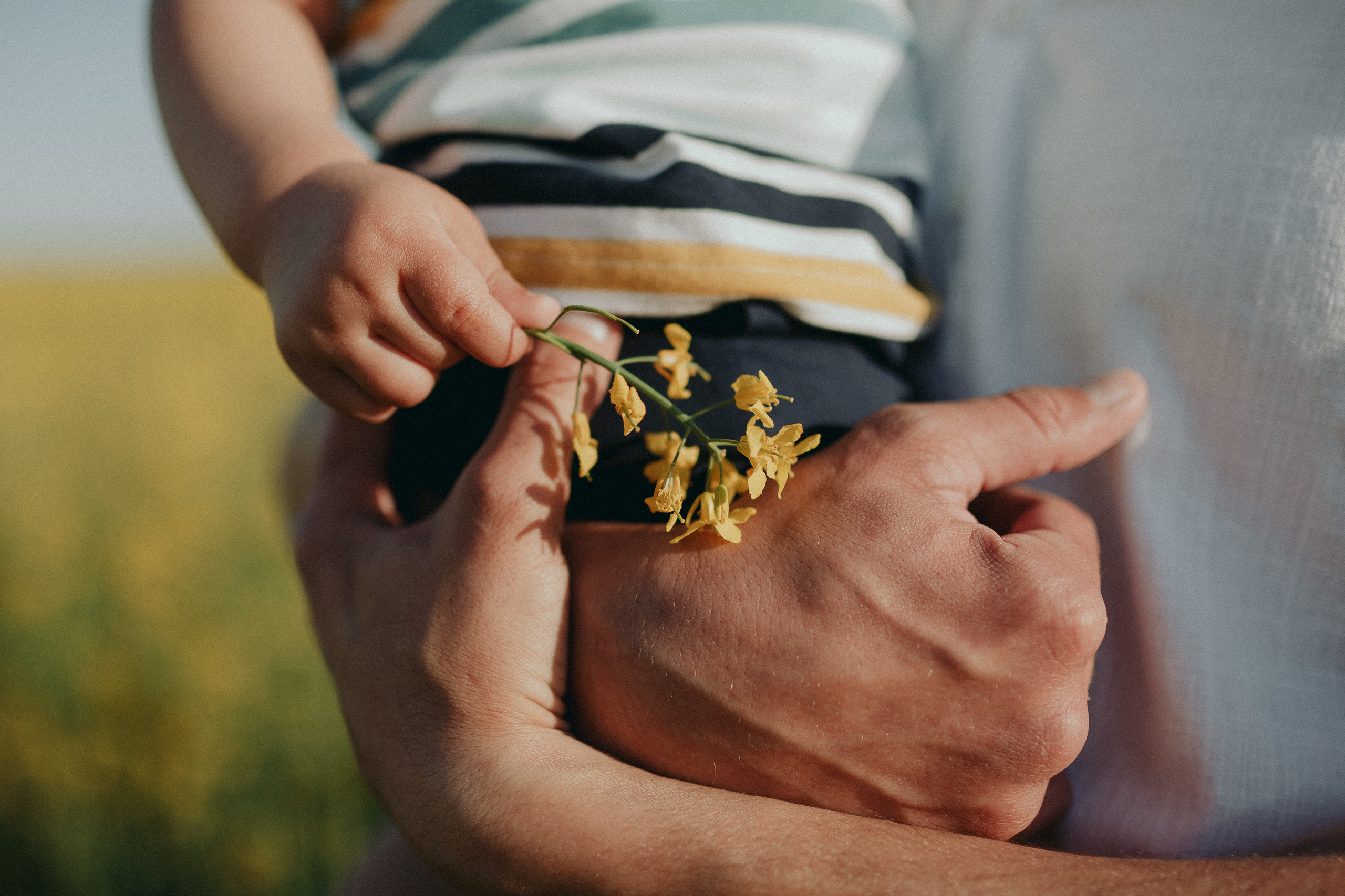 Наталья, Сергей и Артём. Портретный фотограф в Симферополе Екатерина Аляпина