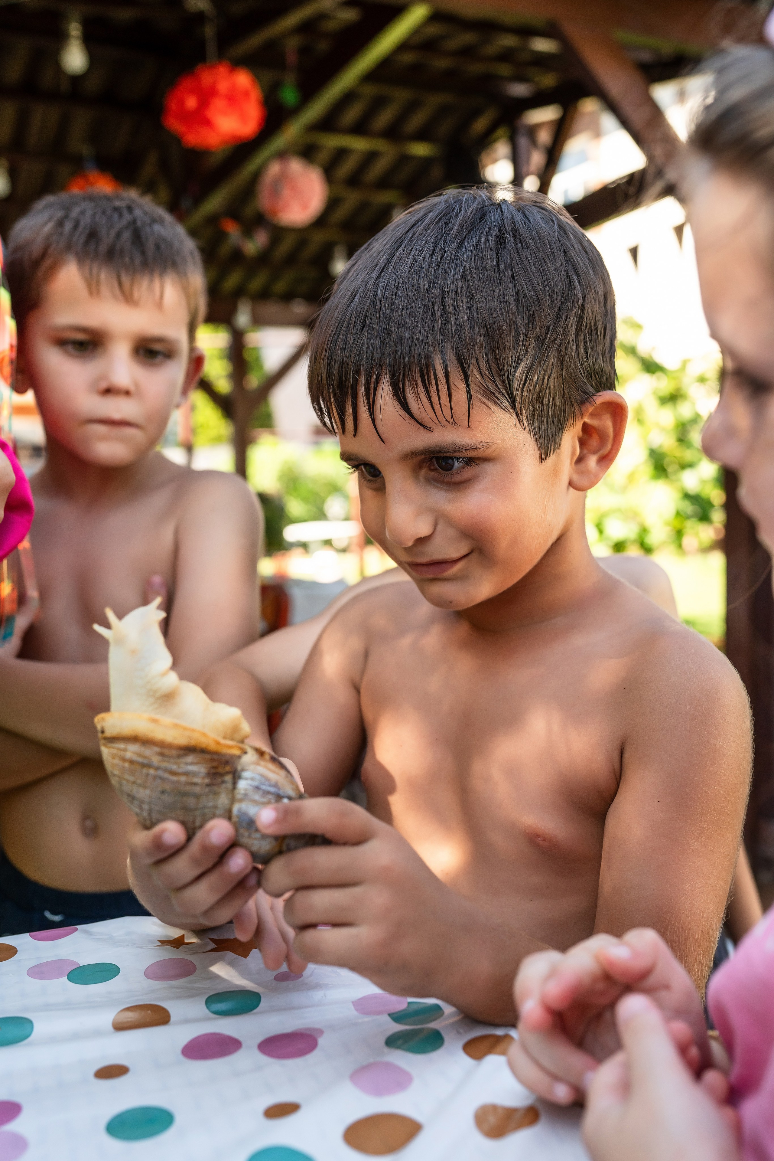 Фотограф сочи на день рождения. Фотограф Сочи